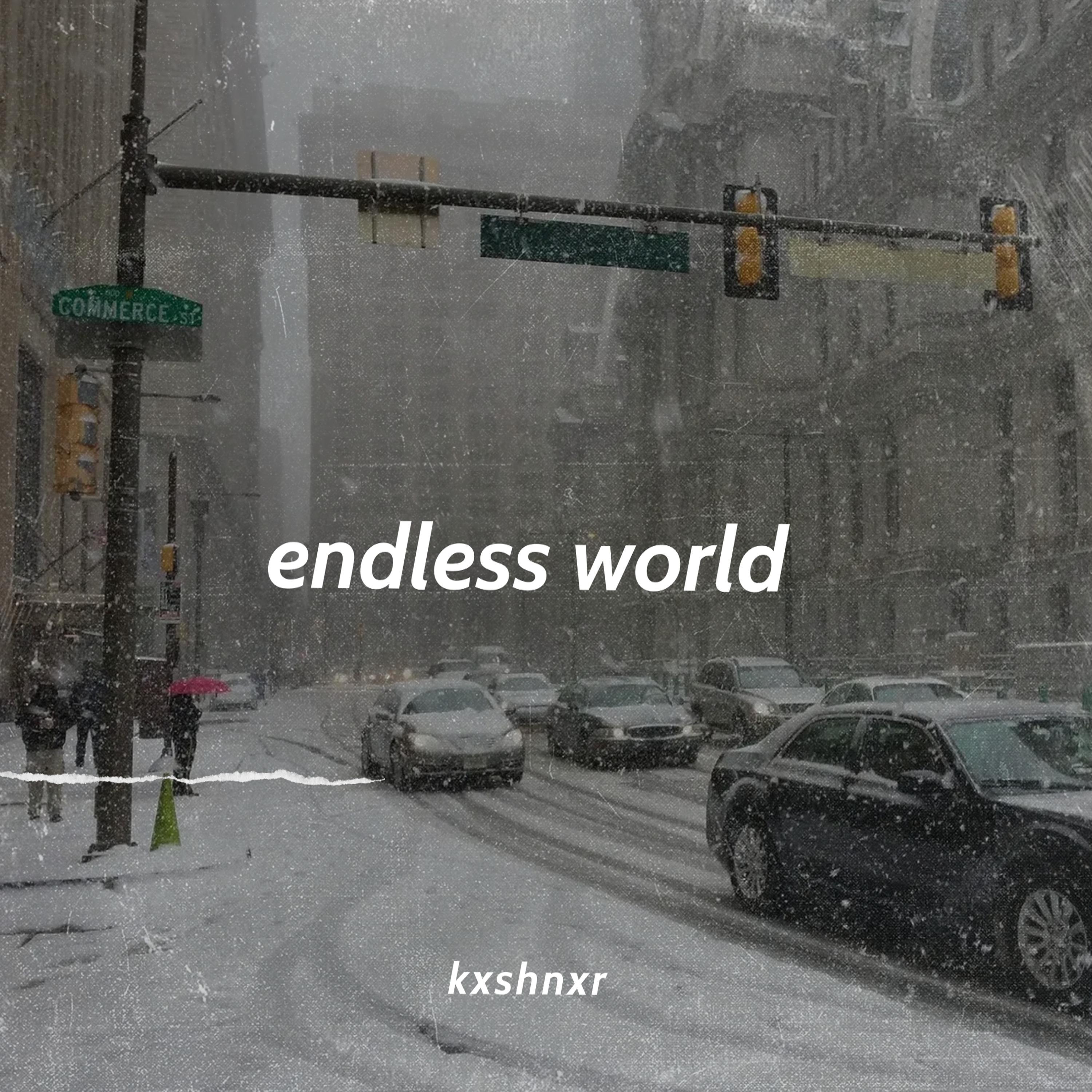 Постер альбома endless world