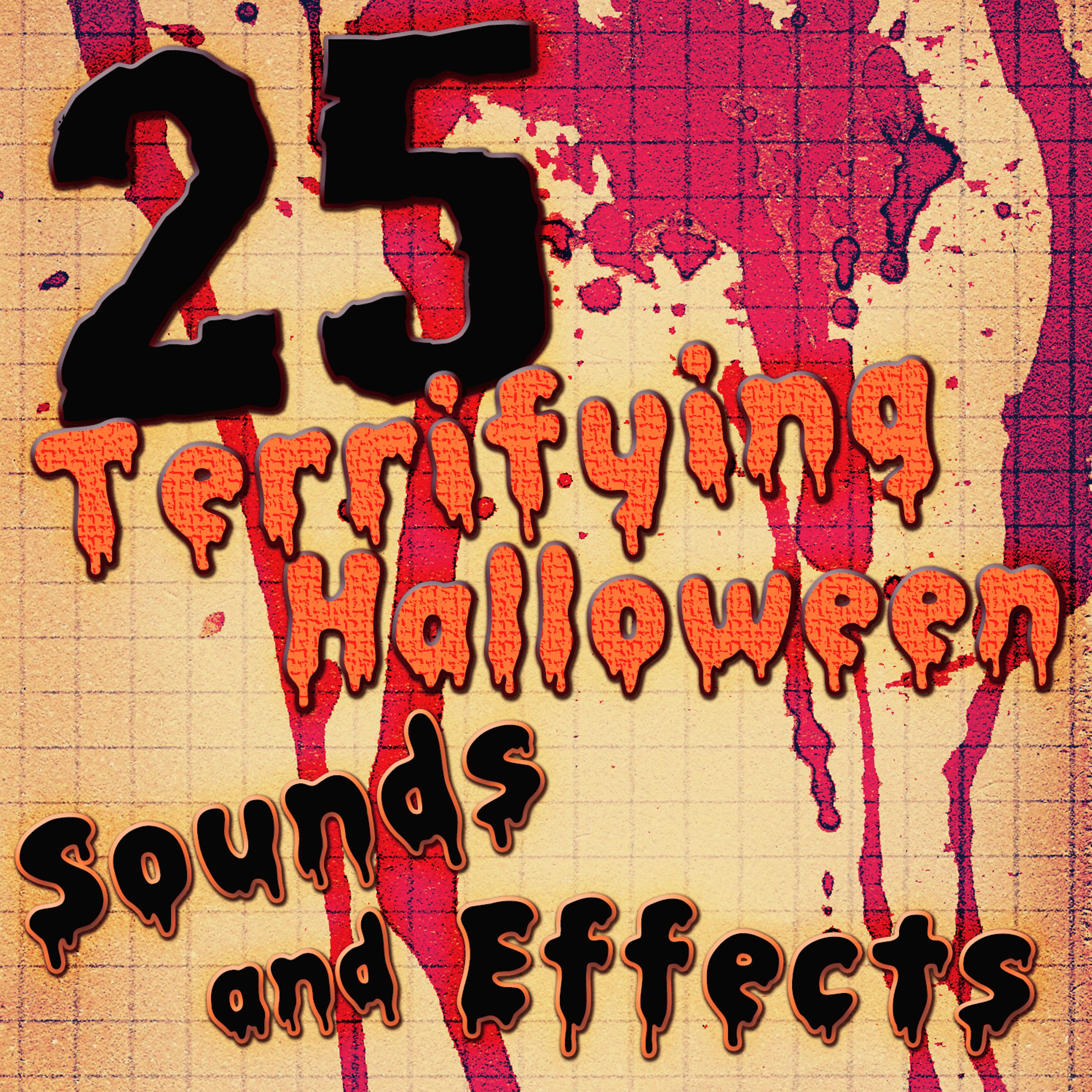 Постер альбома 25 Terrifying Halloween Sounds and Effects