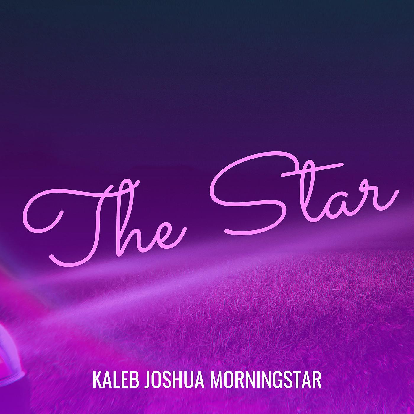 Постер альбома The Star