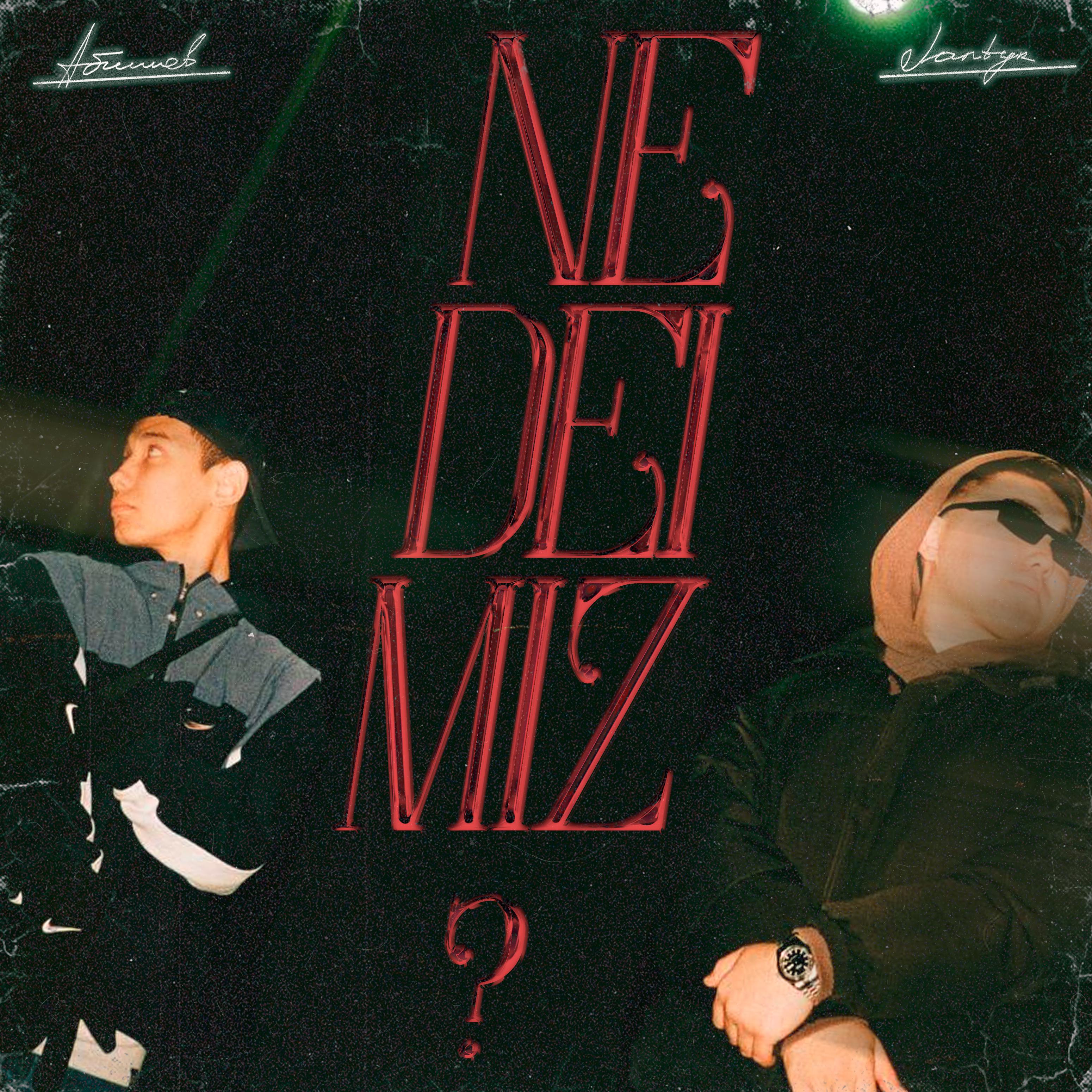 Постер альбома Ne deimiz?