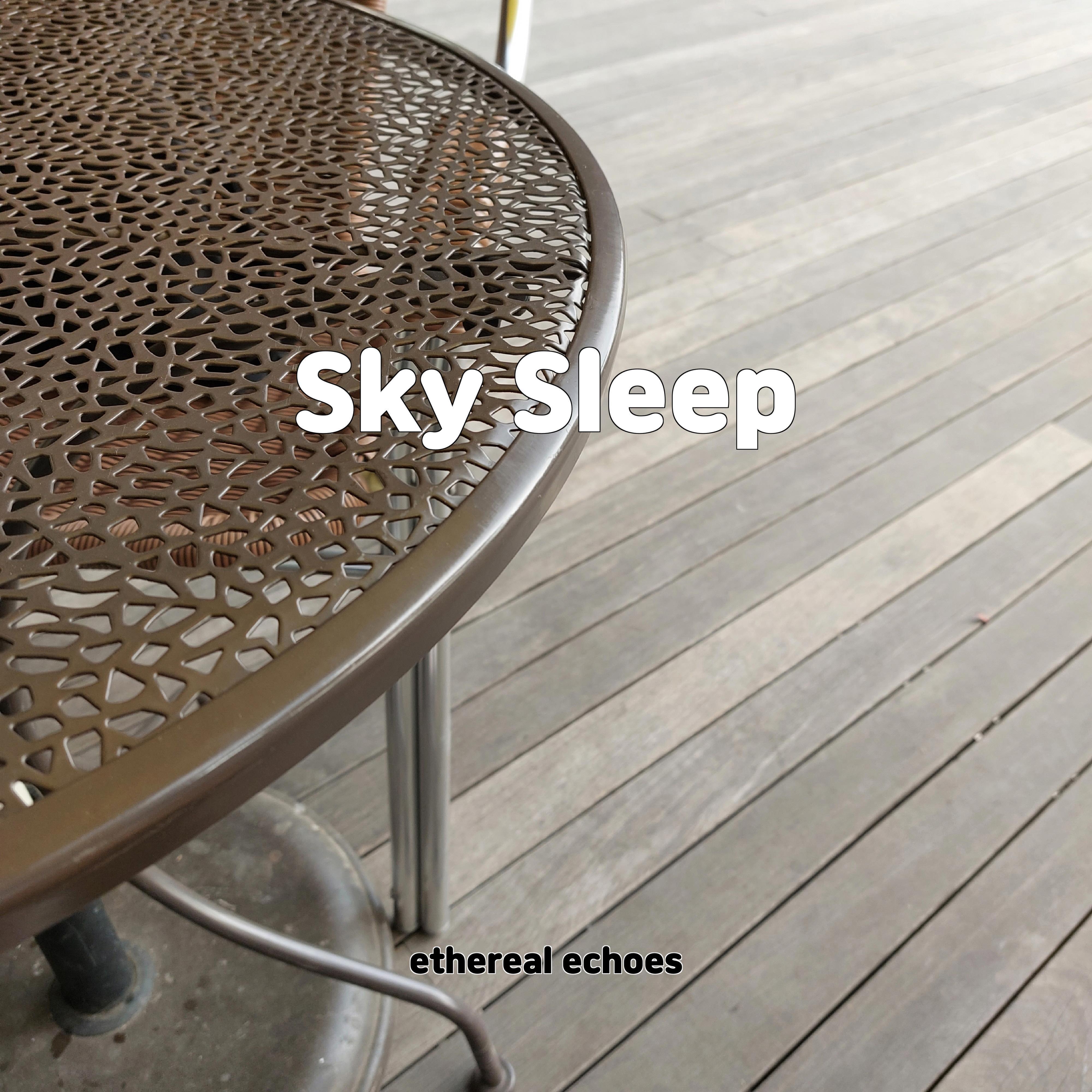 Постер альбома Sky Sleep