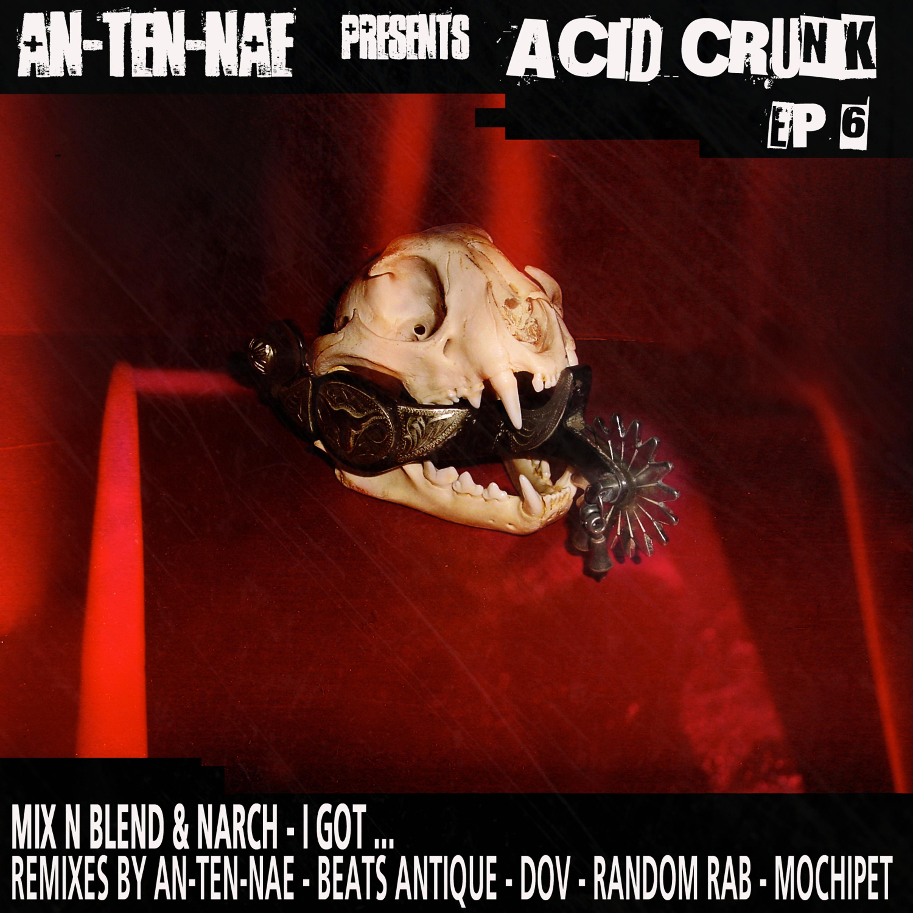 Постер альбома Acid Crunk EP 6 - I Got ...