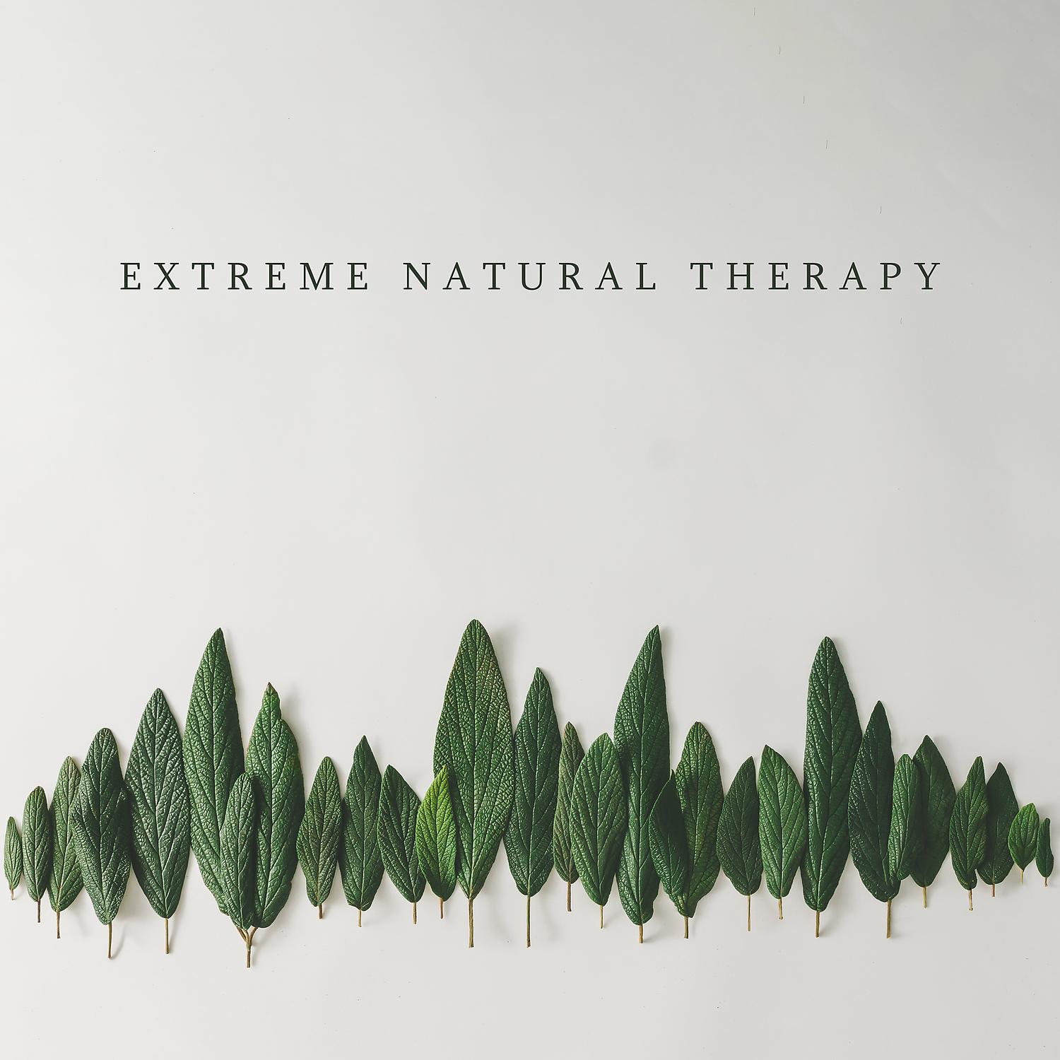 Постер альбома Extreme Natural Therapy: Forest Sounds, Water Purification, Wind Reflection