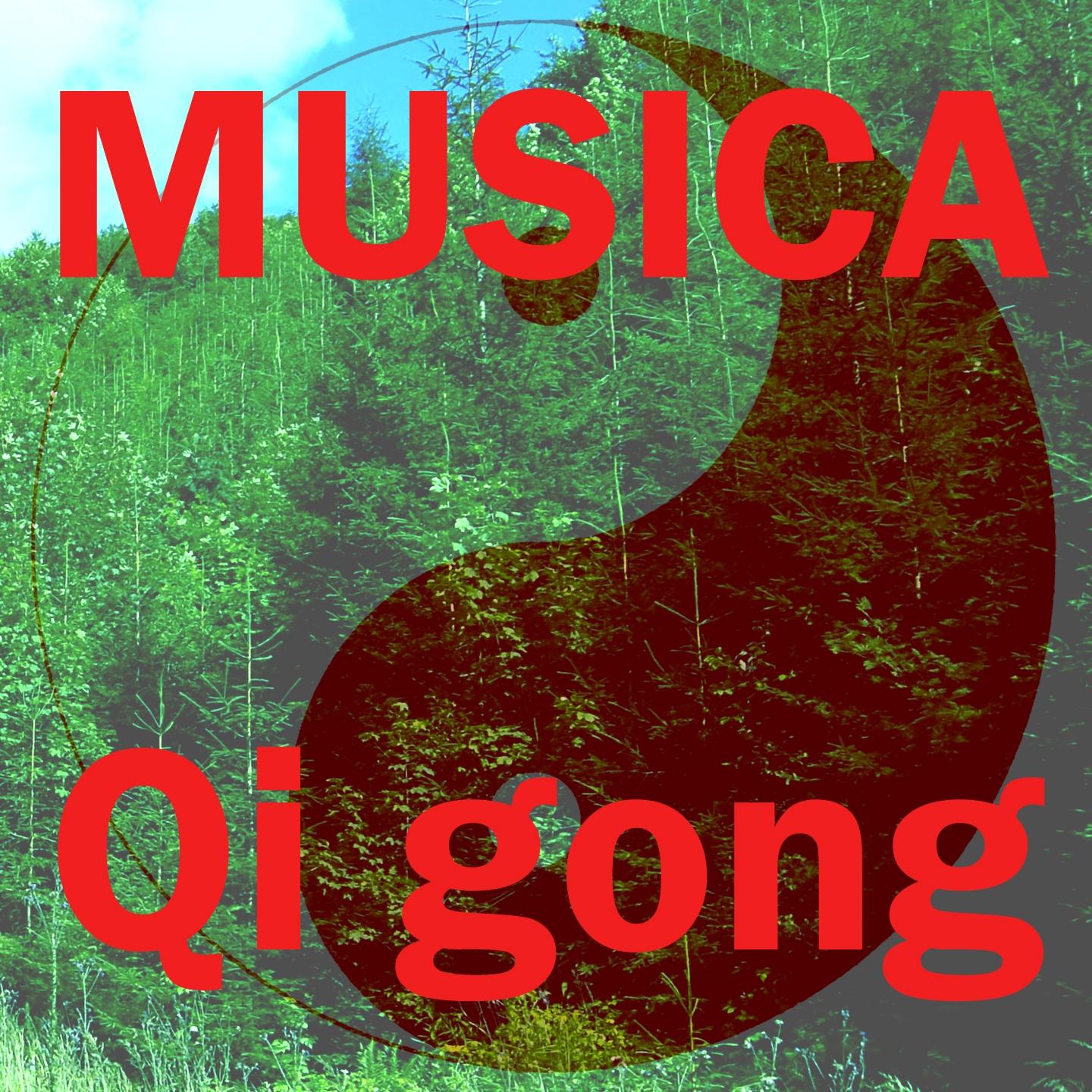 Постер альбома Musica Qi gong