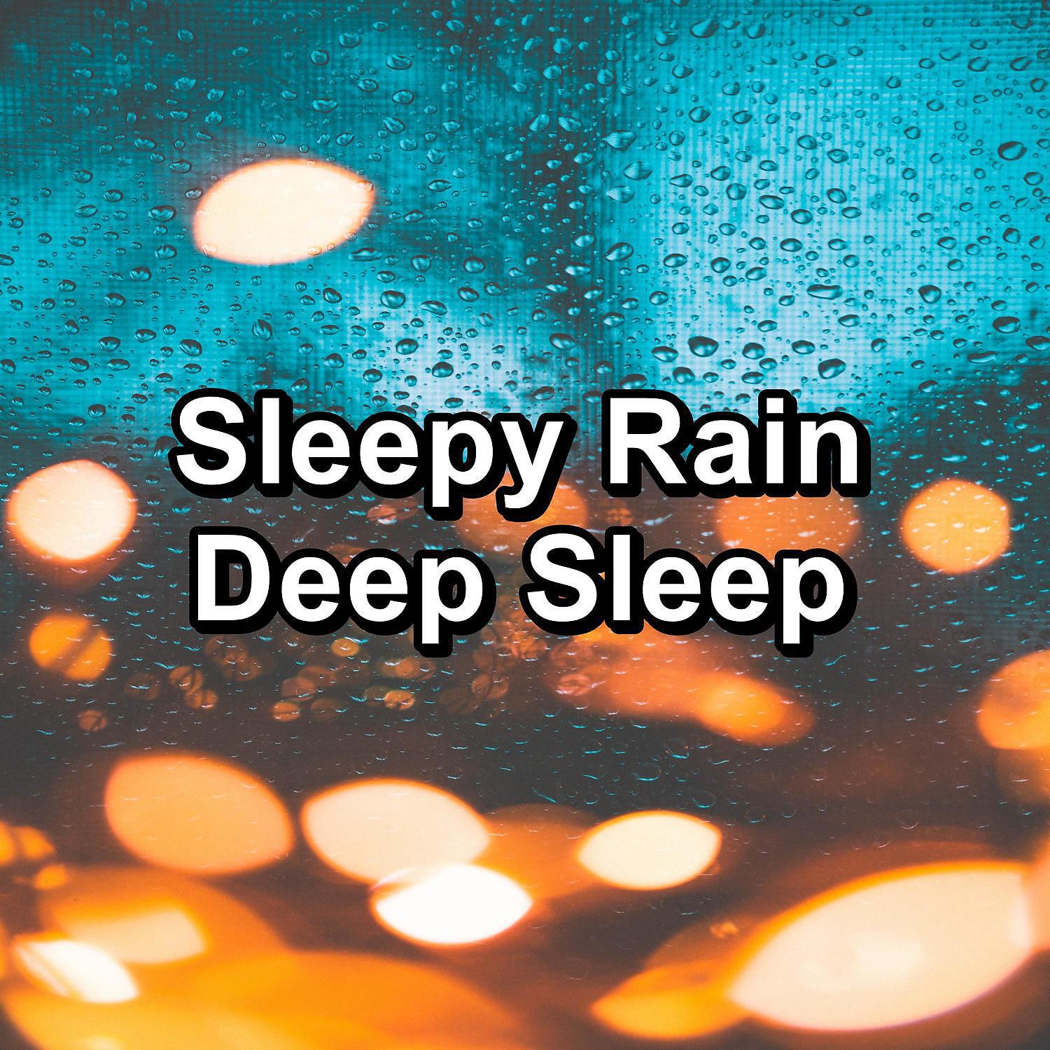 Постер альбома Sleepy Rain Deep Sleep