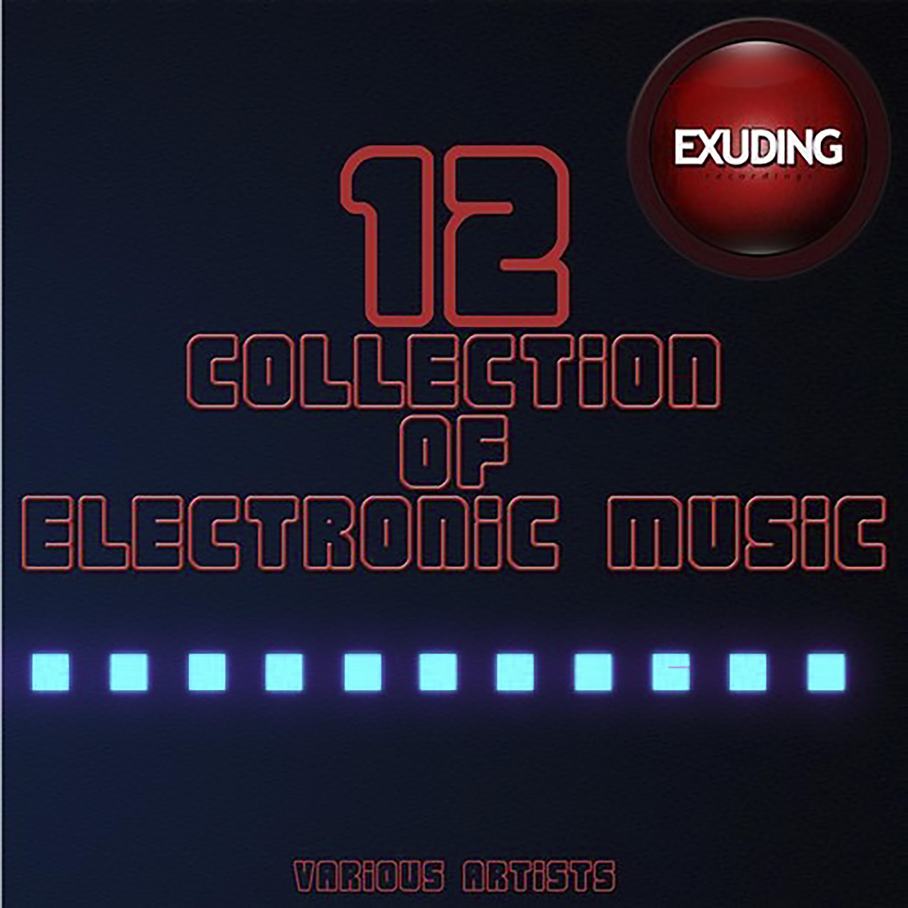 Постер альбома Collection Of Electronic Music, Vol. 12