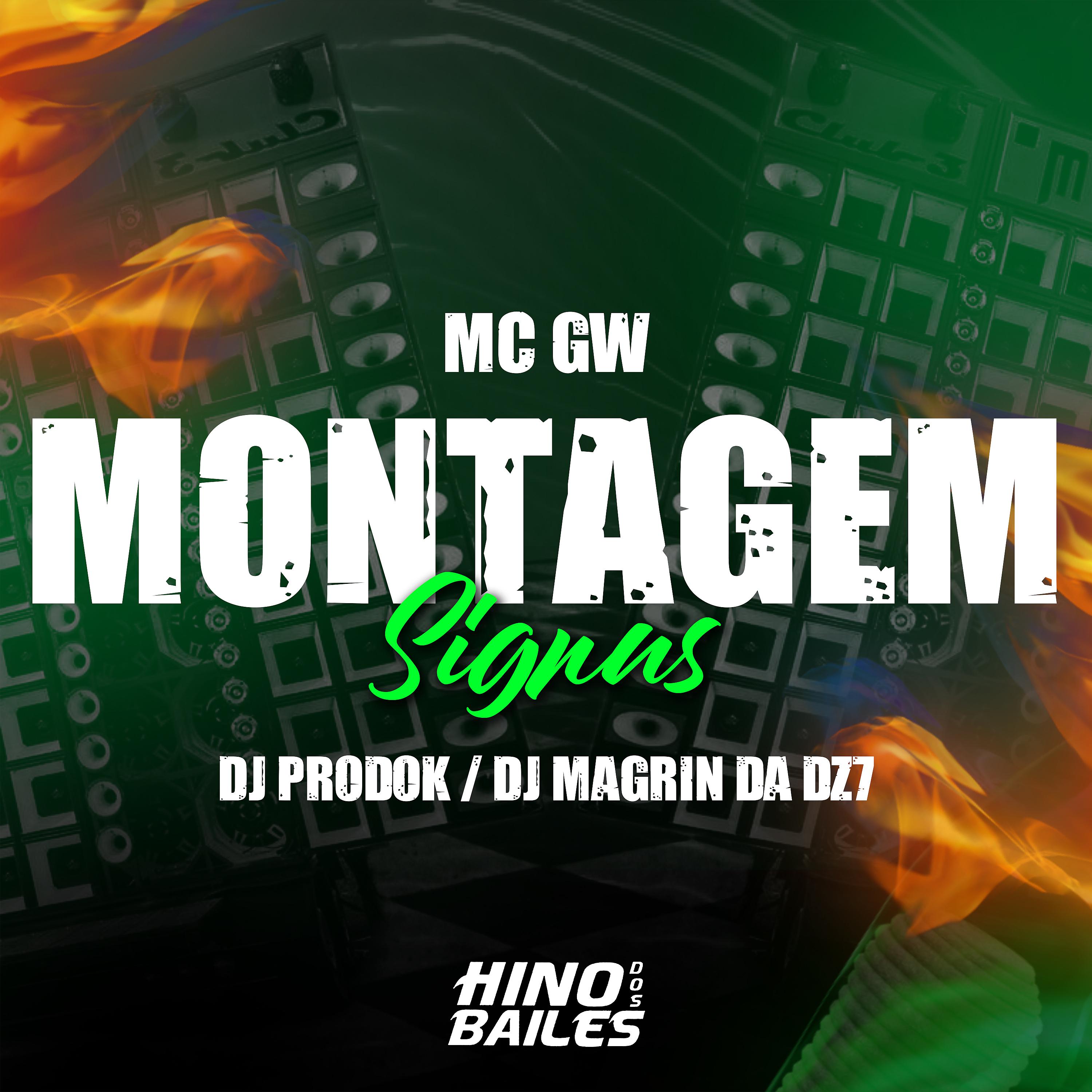 Постер альбома Montagem - Signus
