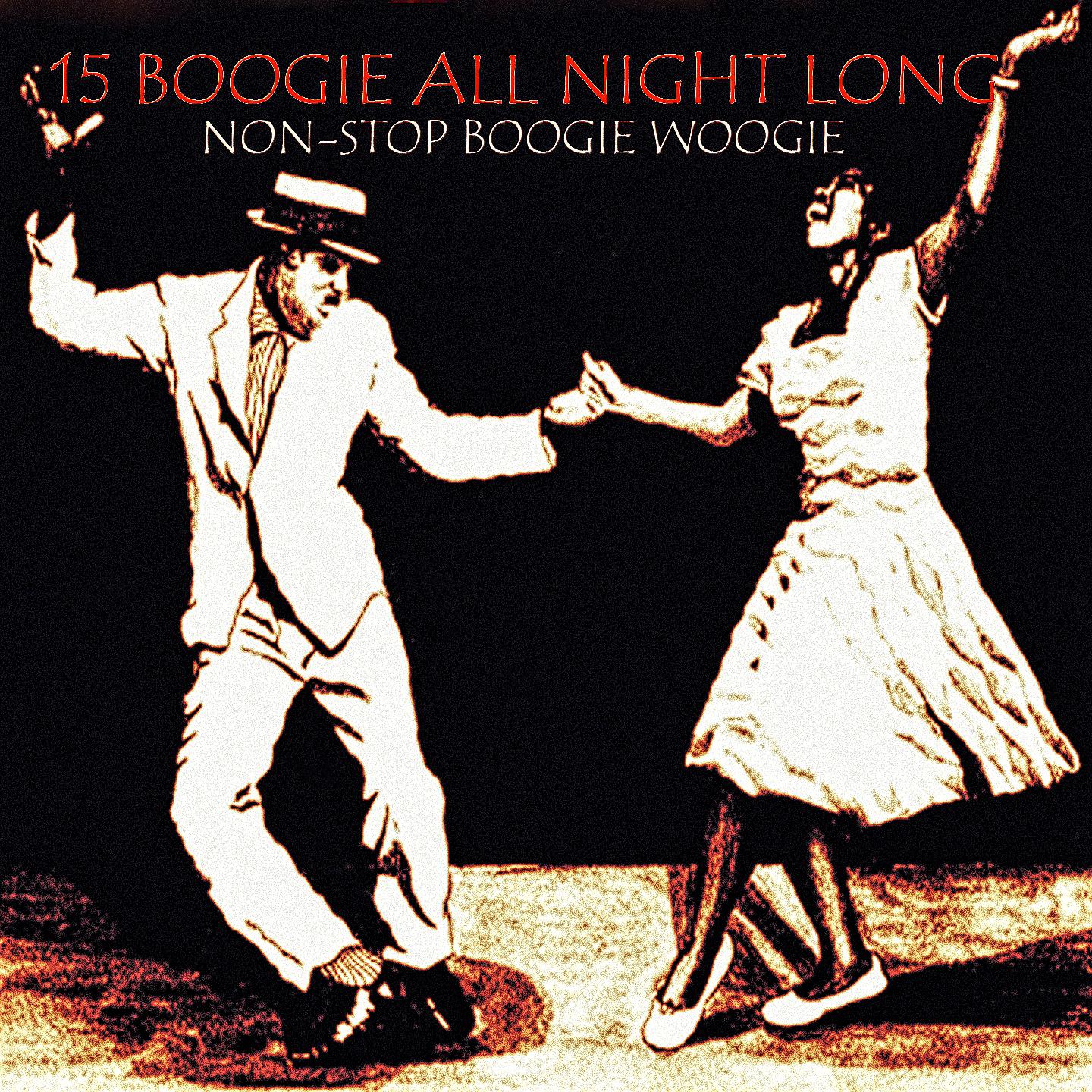 Постер альбома 15 Boogie All Night Long