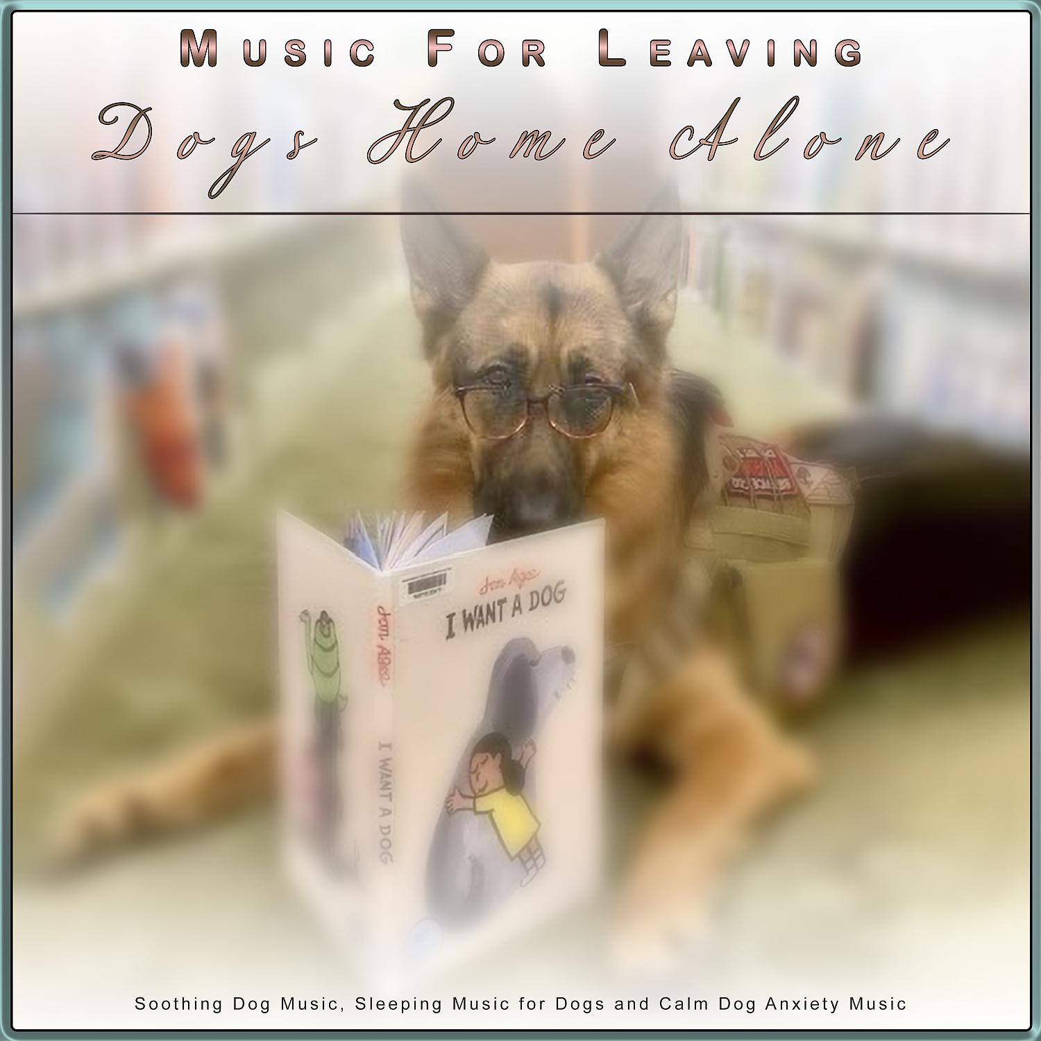 Постер альбома Music For Leaving Dogs Home Alone: Soothing Dog Music, Sleeping Music for Dogs and Calm Dog Anxiety Music