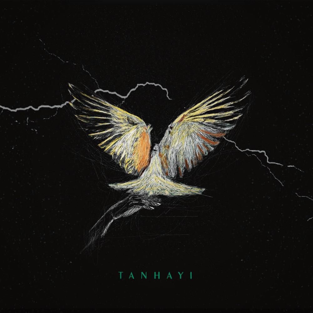 Постер альбома Tanhayi