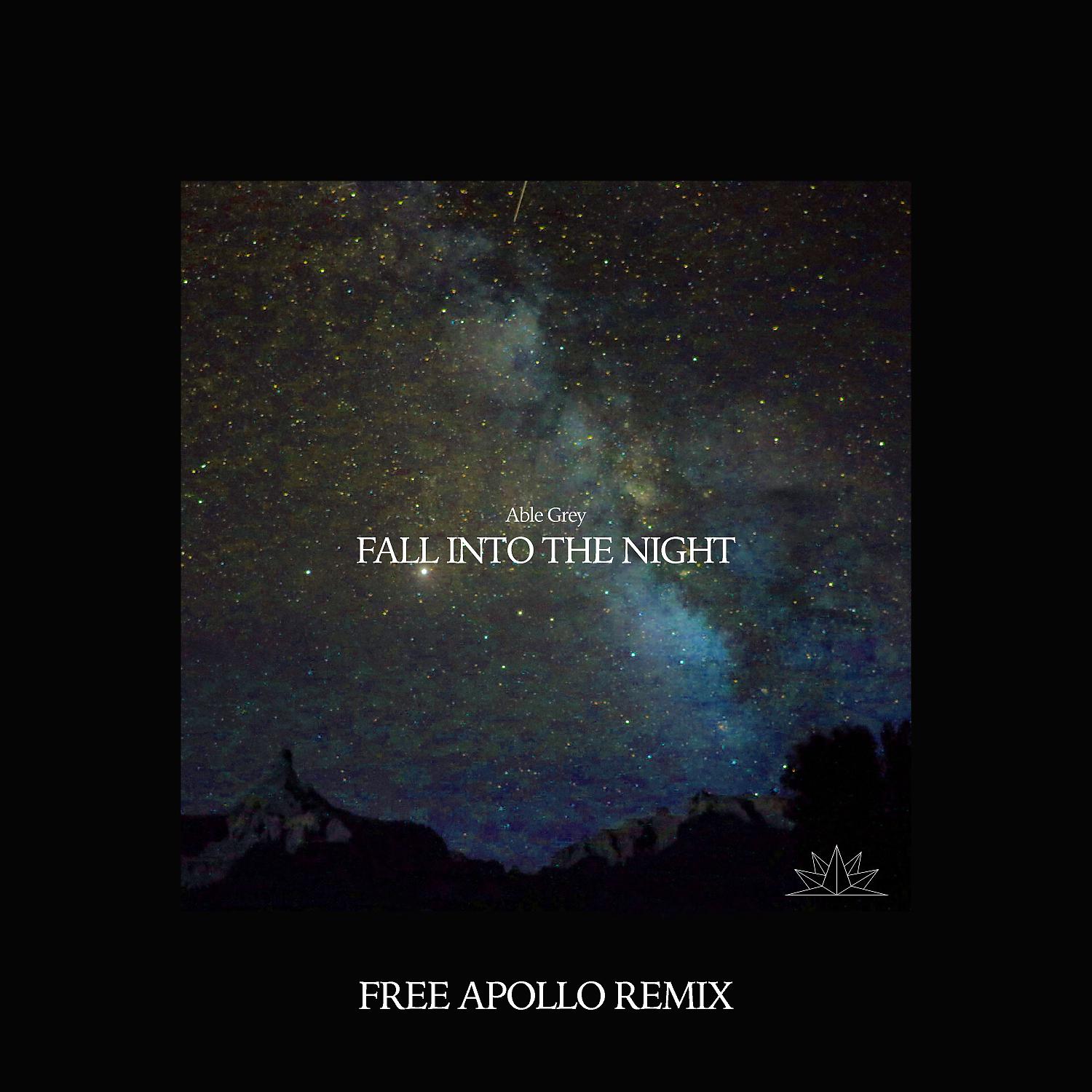Постер альбома Fall Into The Night (Free Apollo Remix)