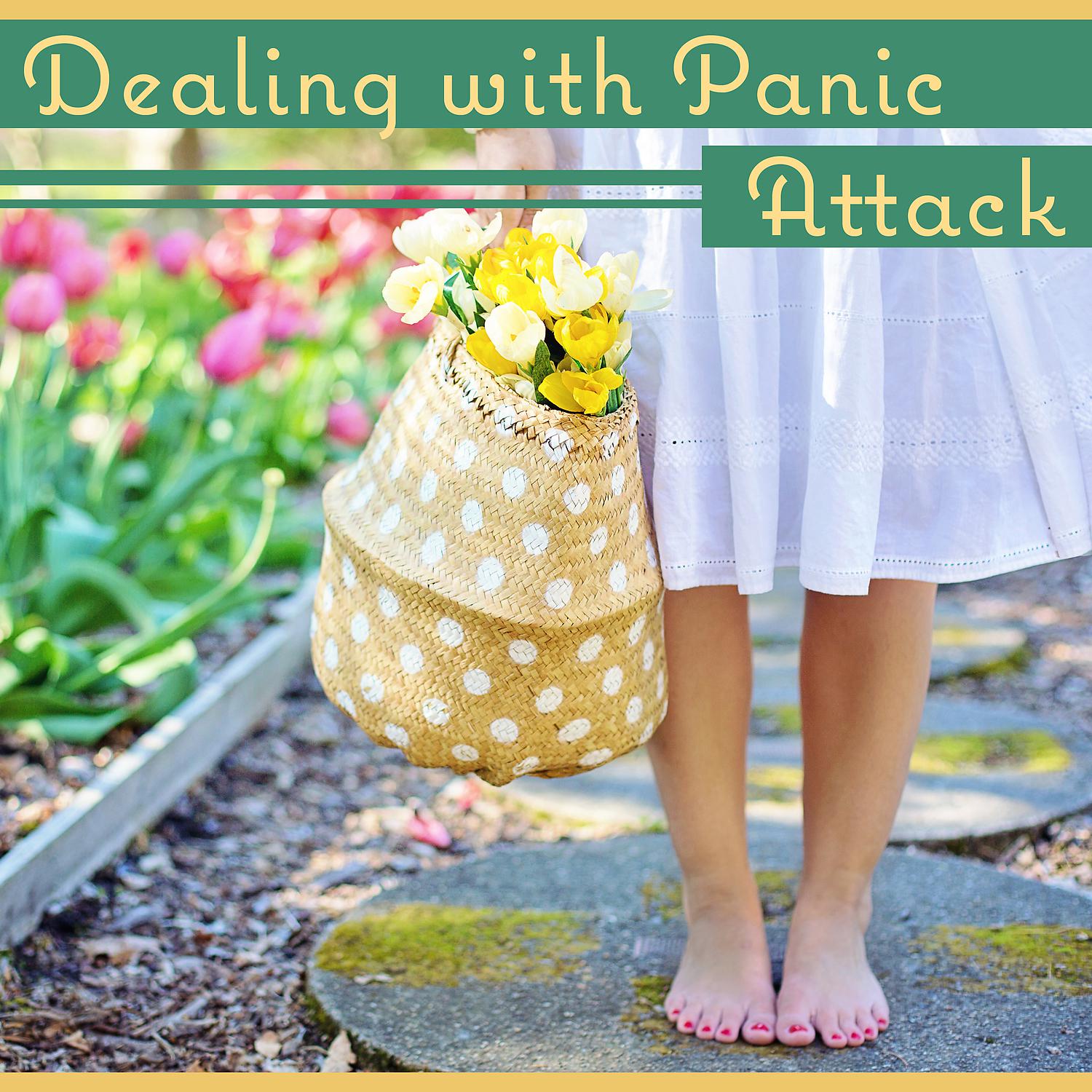 Постер альбома Dealing with Panic Attack: Soothing Music for Relax, Reduce Disorder Symptoms, Harmony Balance, Coping with Stress, Meditation Techniques