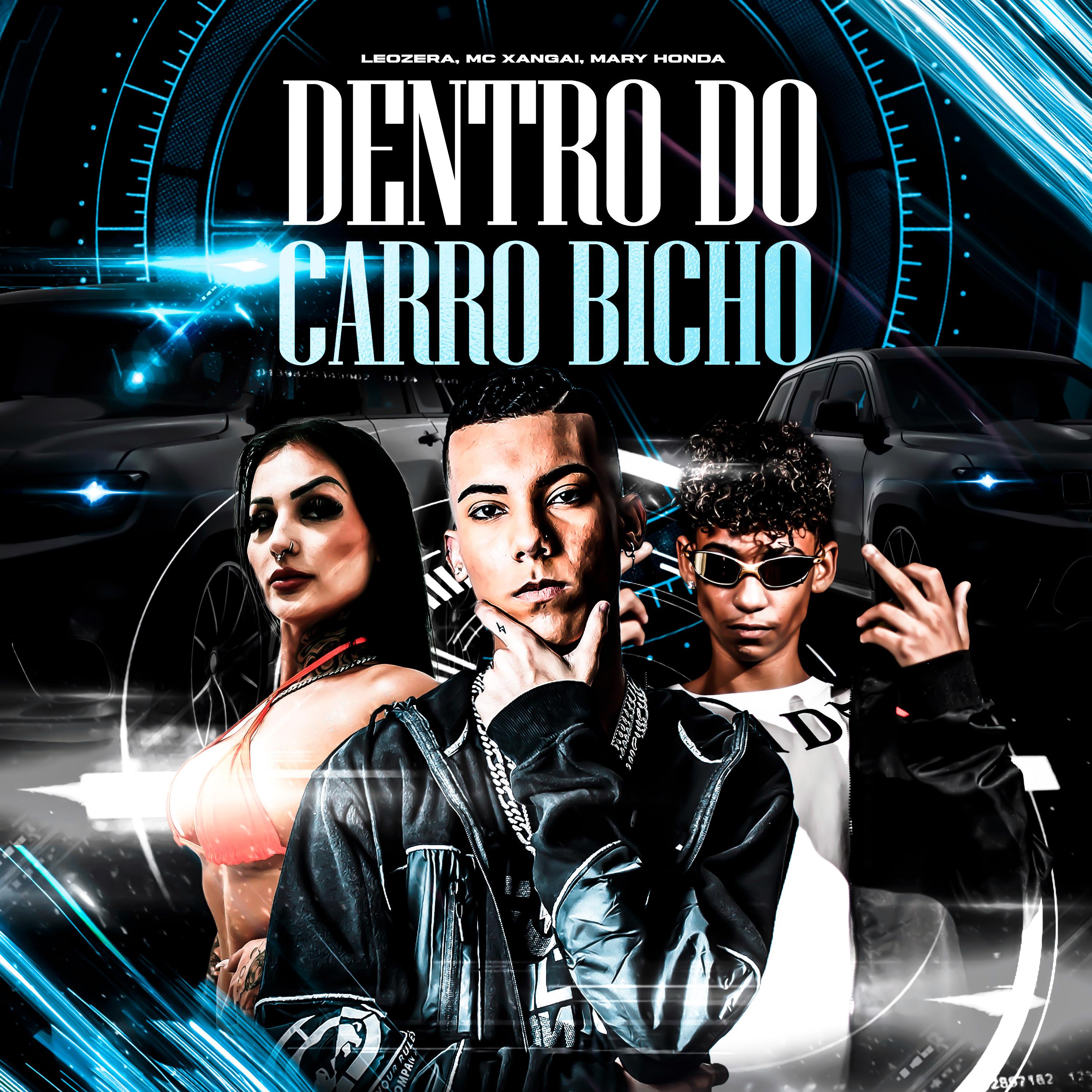 Постер альбома Dentro do Carro Bicho