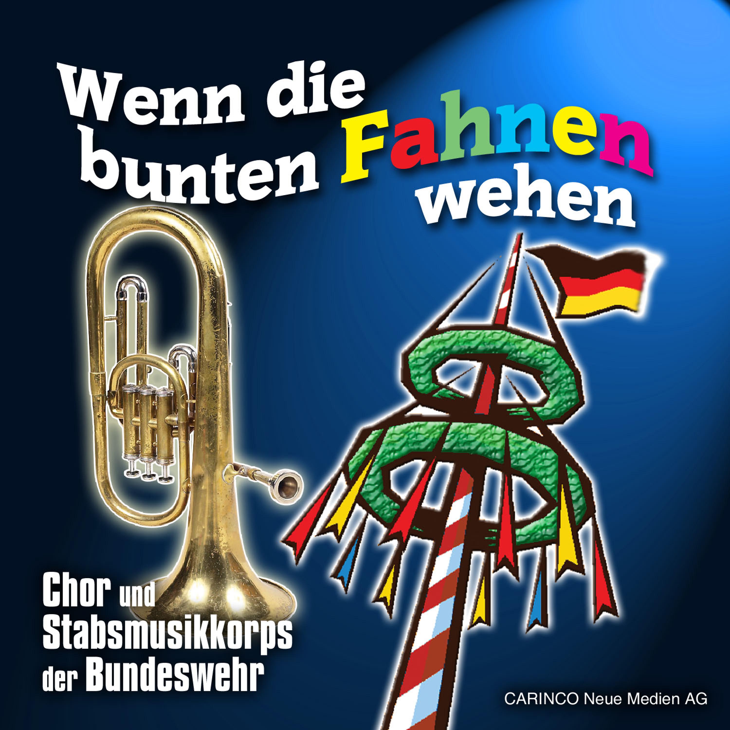 Постер альбома Wenn Die Bunten Fahnen Wehen