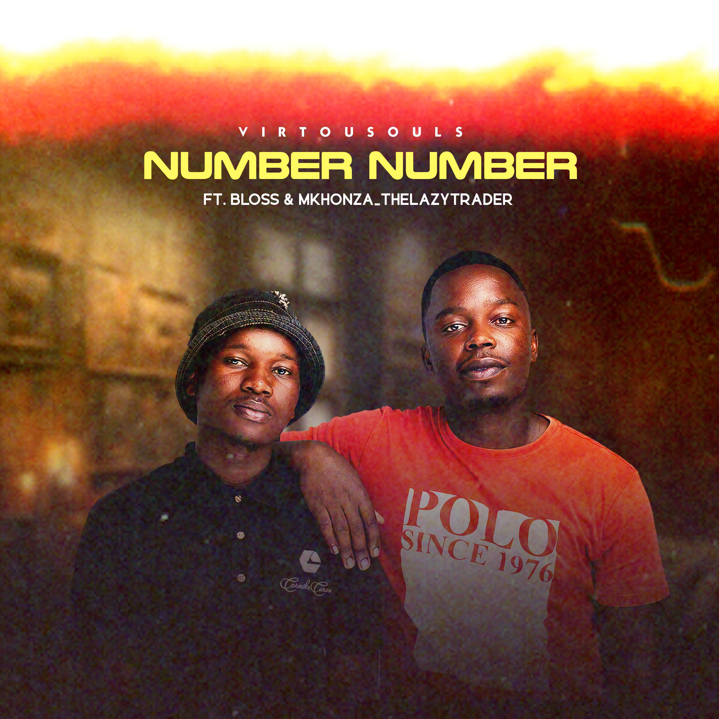 Постер альбома Number Number (feat. Mkhonza.TheLazyTrader & Bloss)