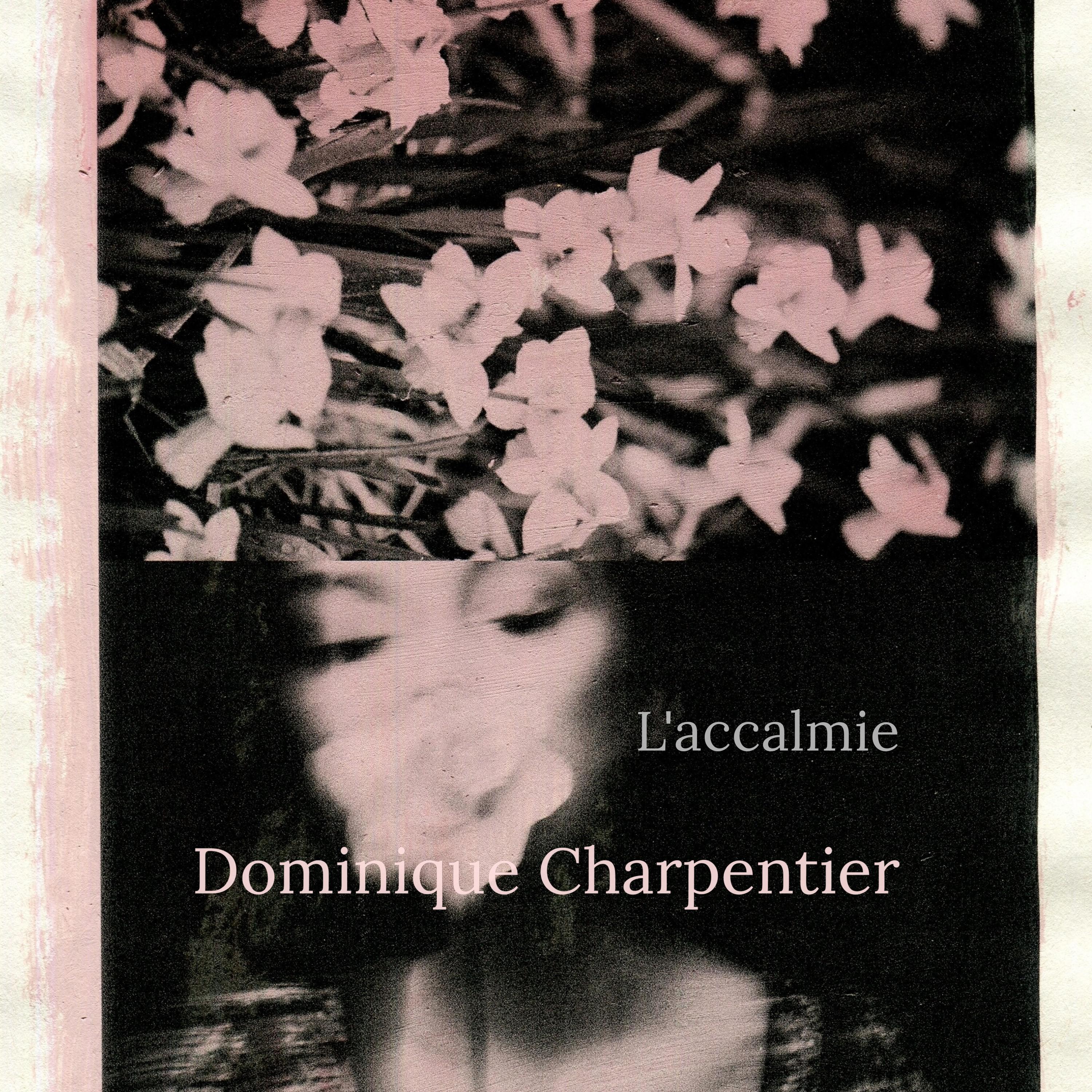 Постер альбома L'accalmie