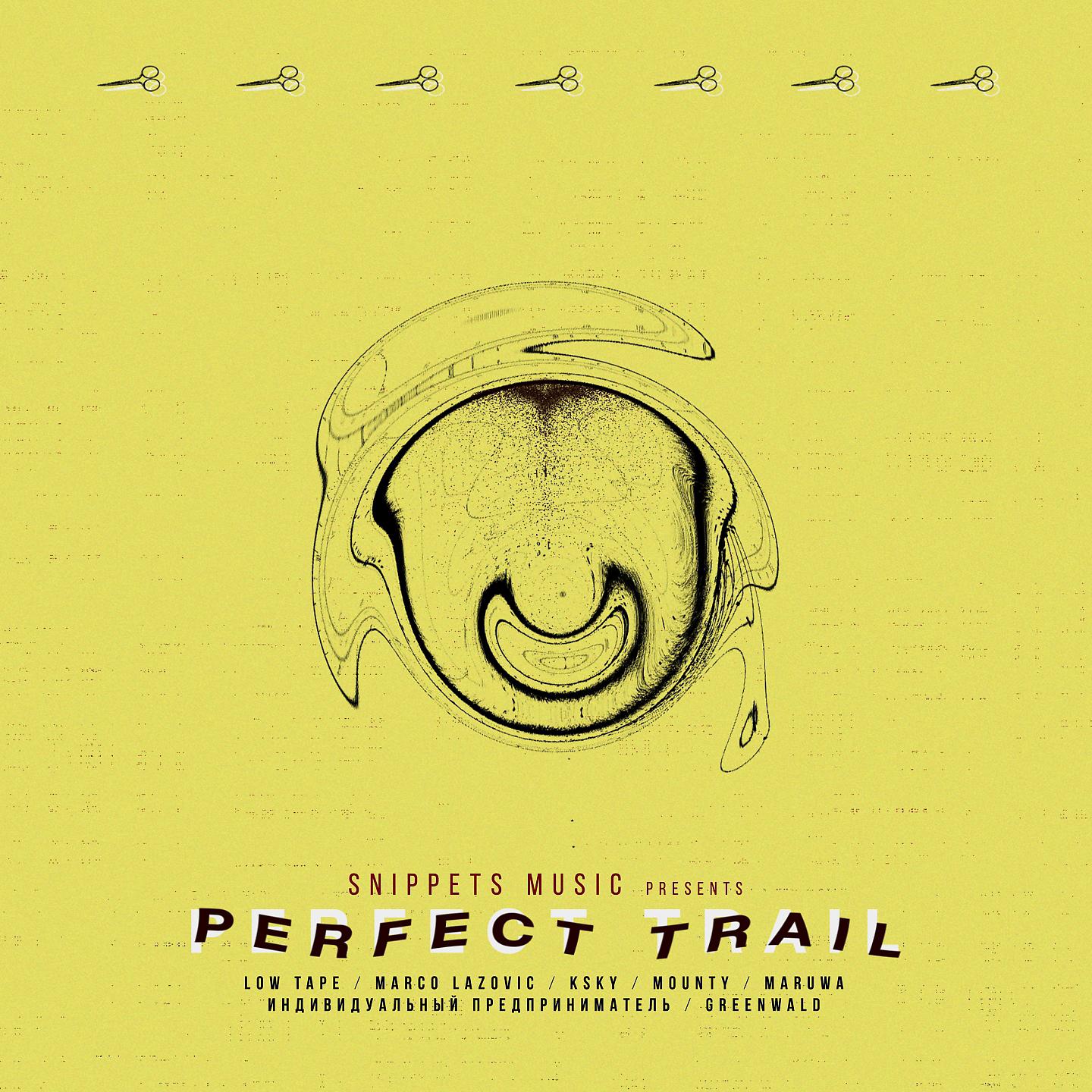 Постер альбома Perfect Trail