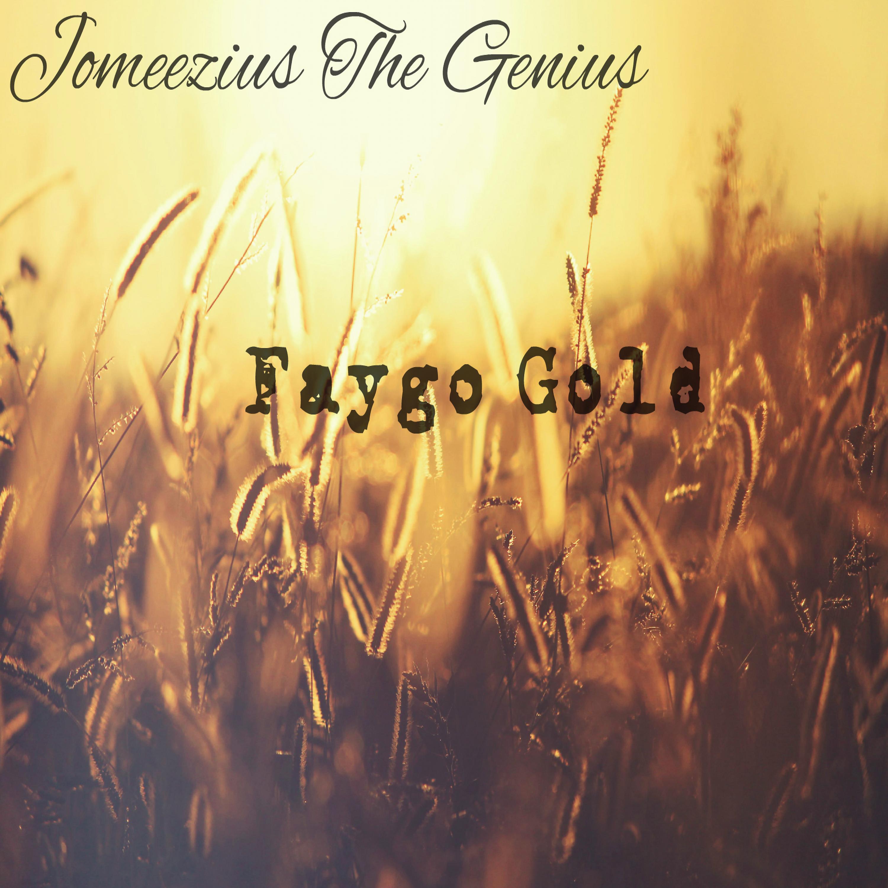 Постер альбома Faygo Gold