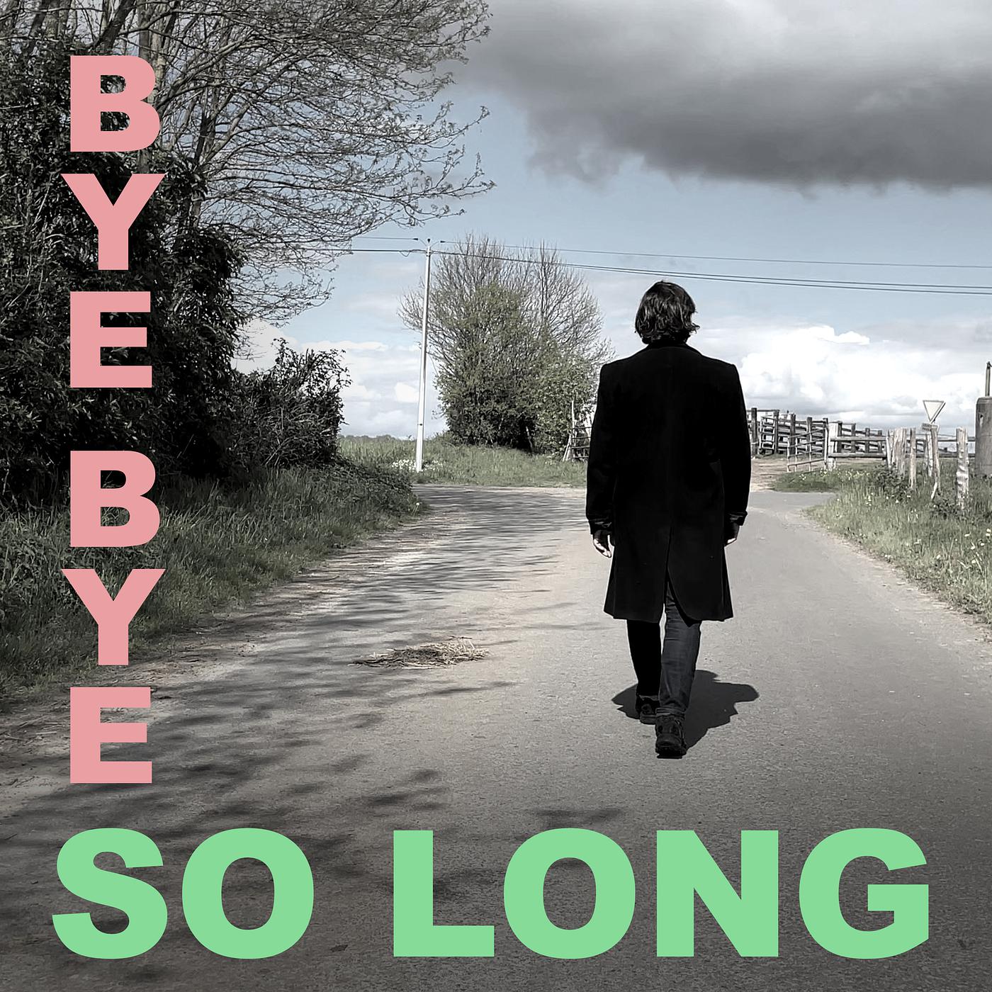 Постер альбома Bye Bye so Long
