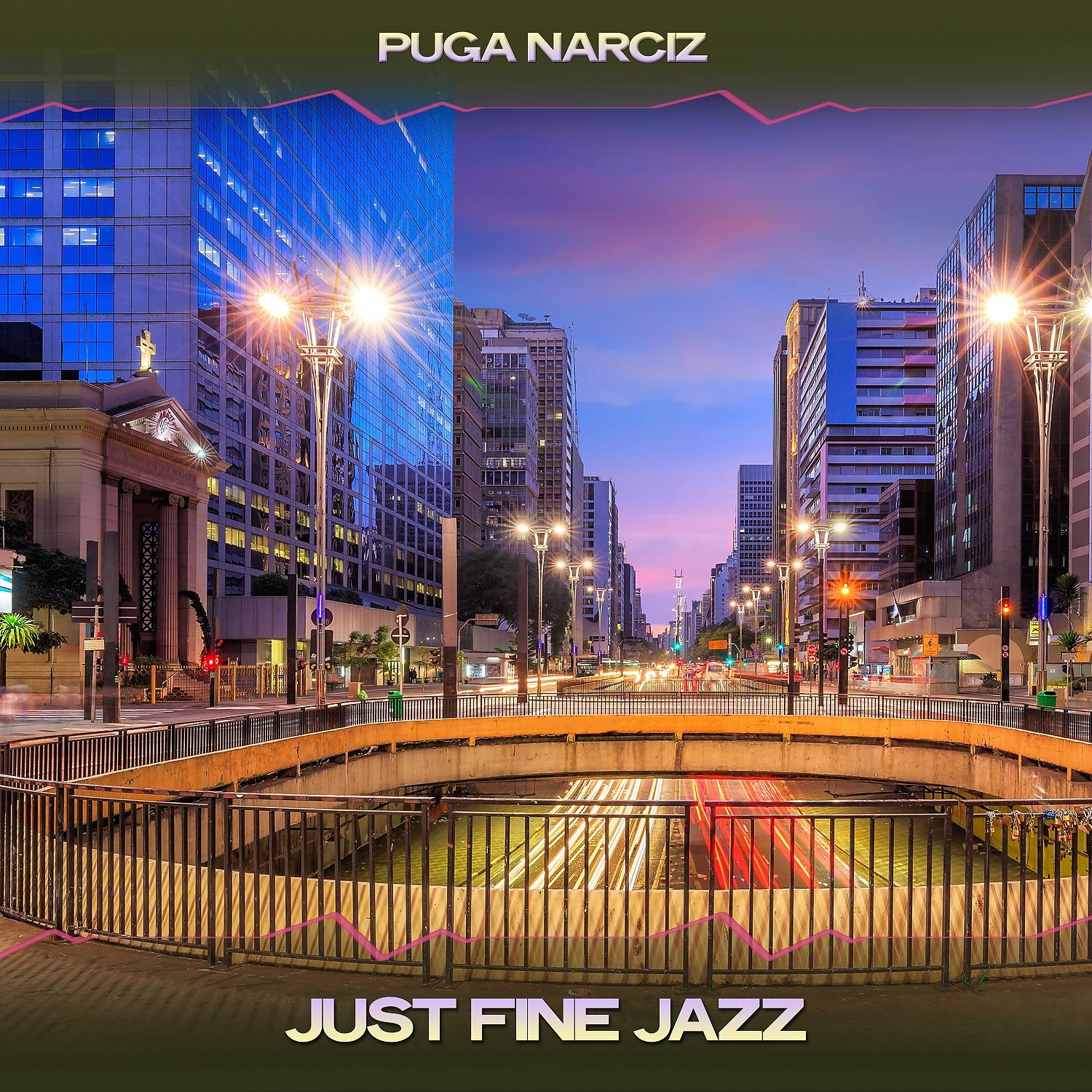 Постер альбома Just Fine Jazz
