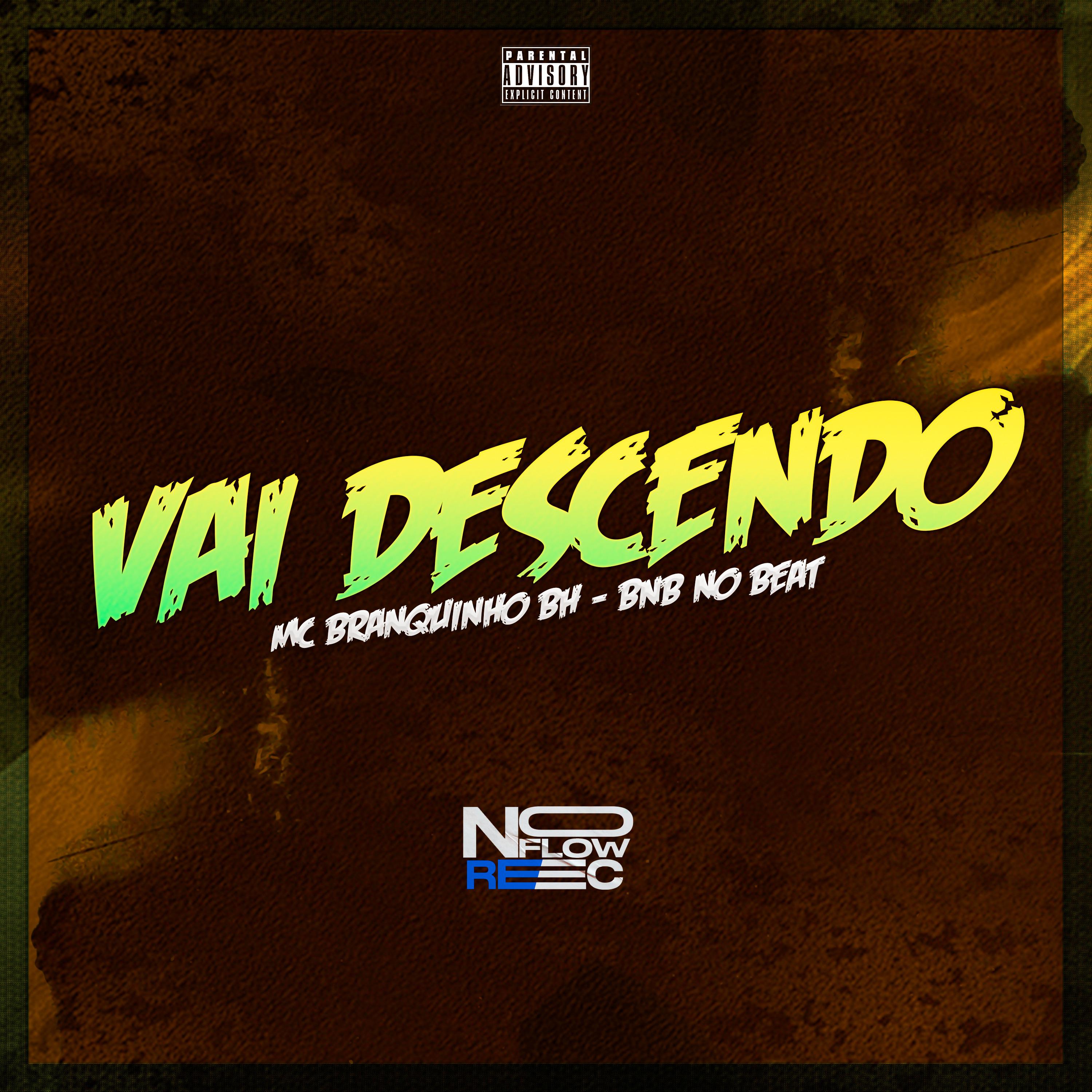 Постер альбома Vai Descendo