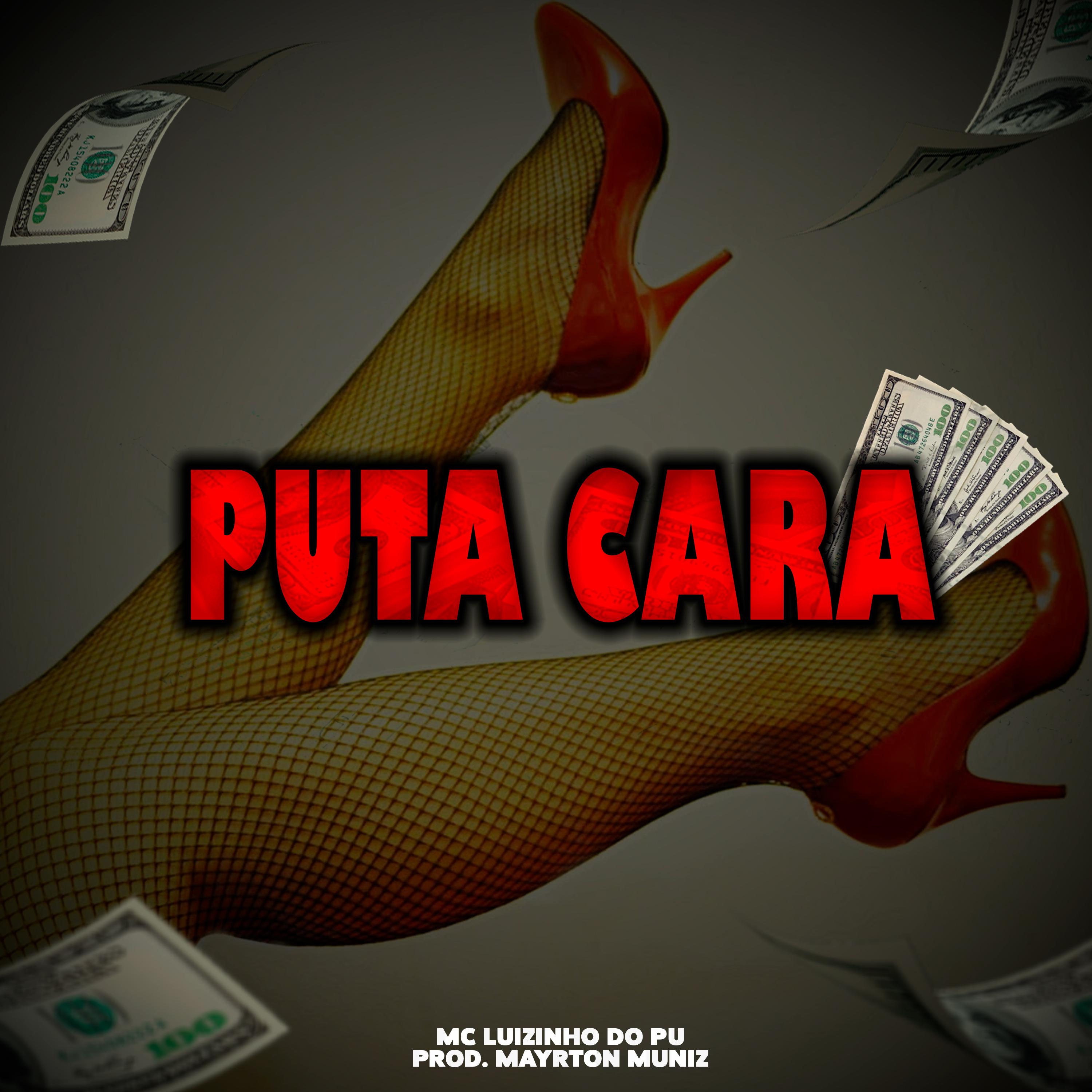 Постер альбома Puta Cara