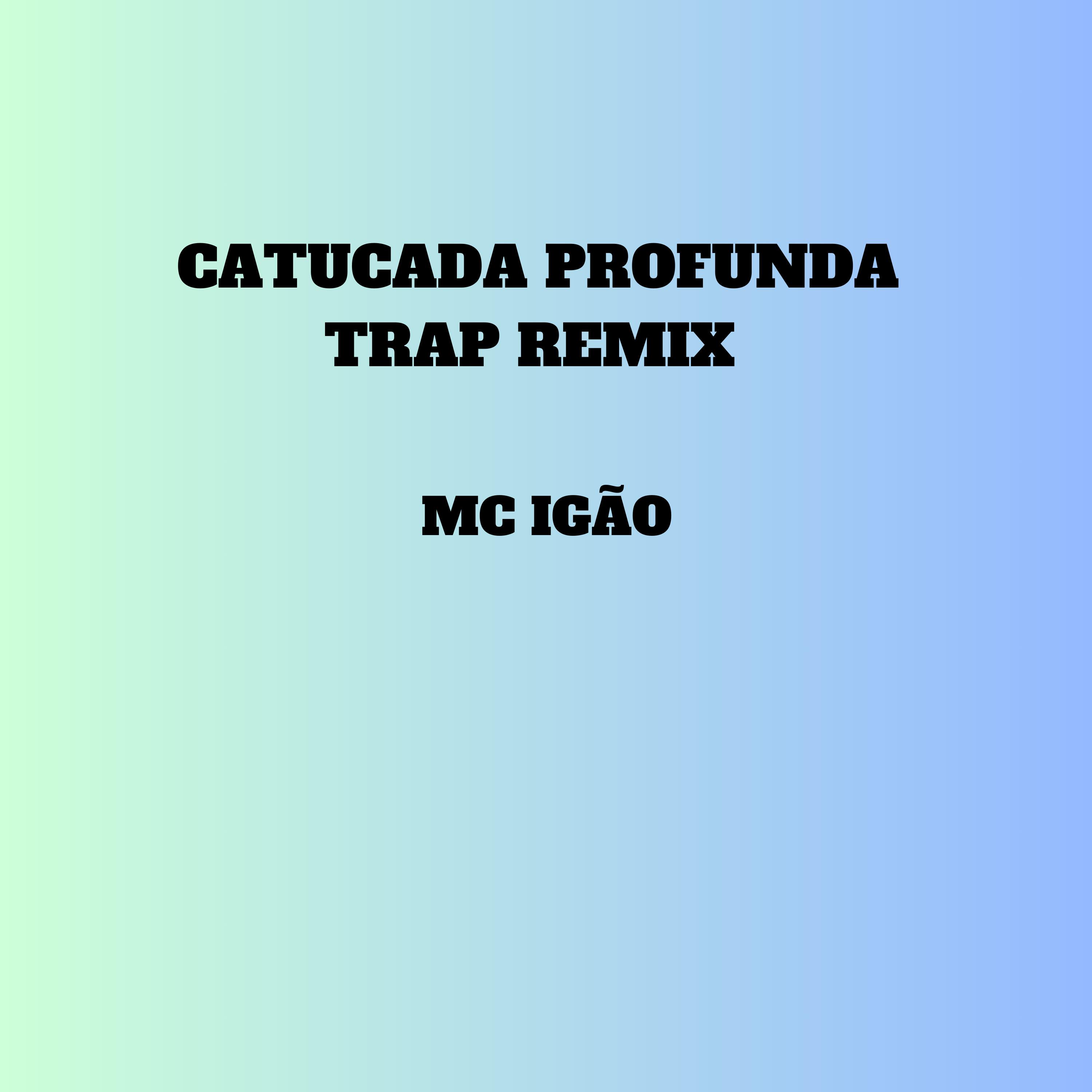 Постер альбома Catucada Profunda Trap