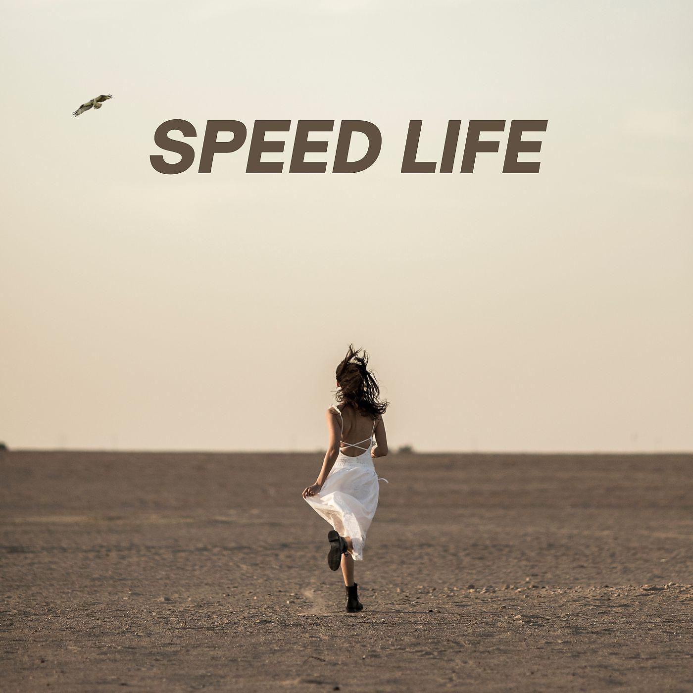 Постер альбома Speed Life