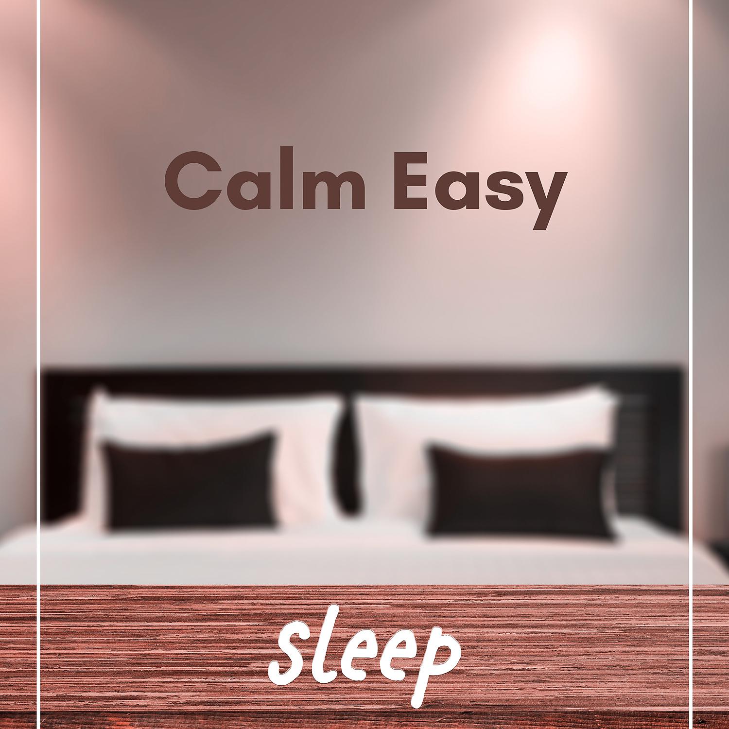 Постер альбома Calm Easy Sleep – Serenity Night, Nature Music for Sweet Dreams and Inner Silence