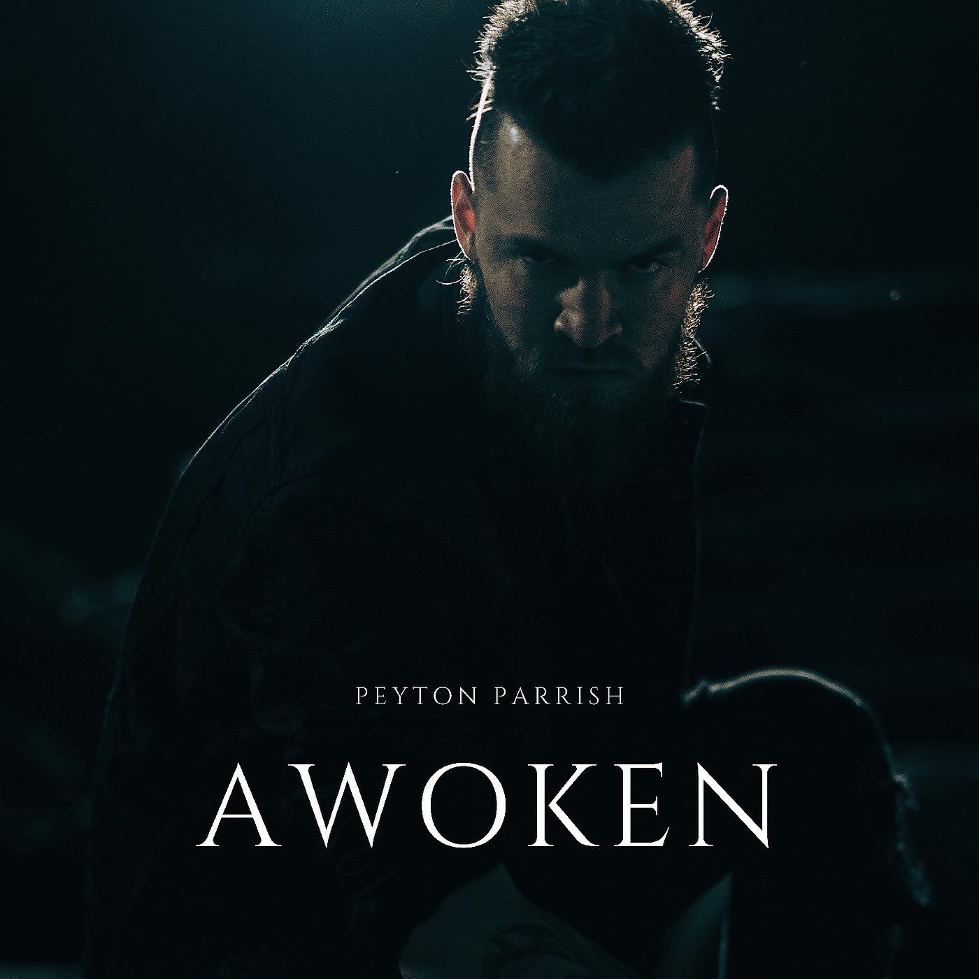 Постер альбома Awoken