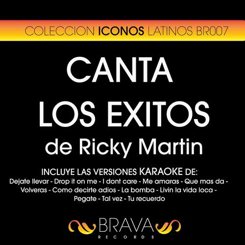 Постер альбома Canta los Exitos de Ricky Martin