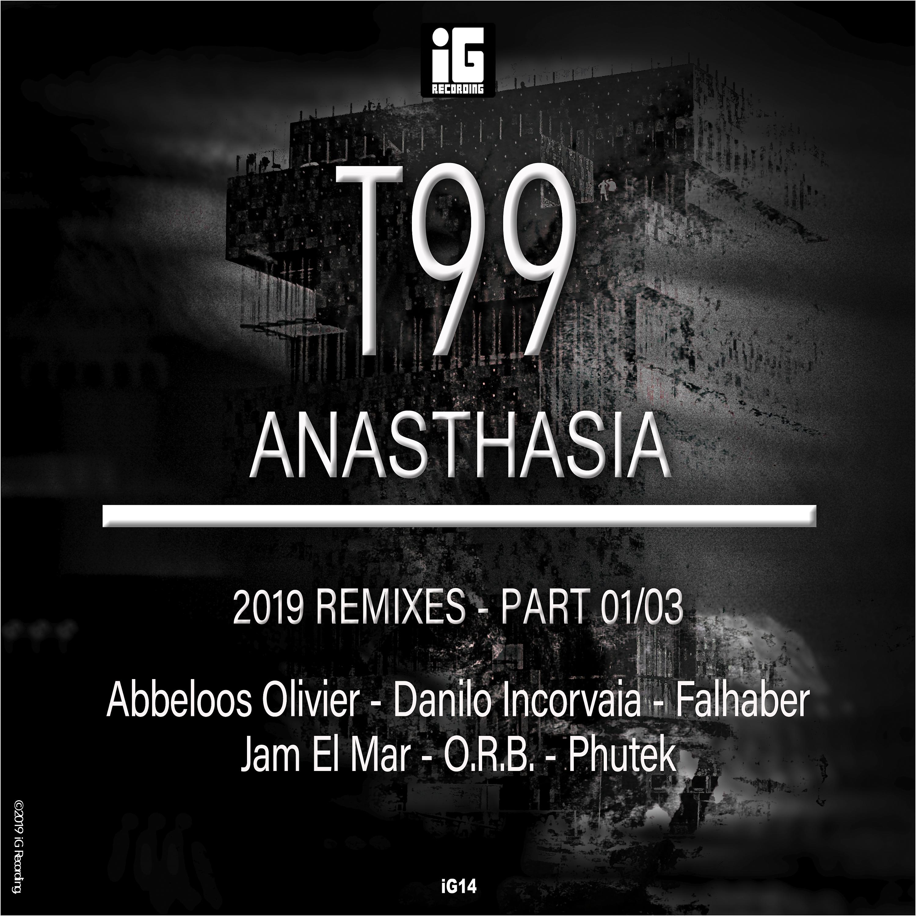 Постер альбома Anasthasia (2019 Remixes), Pt. 1