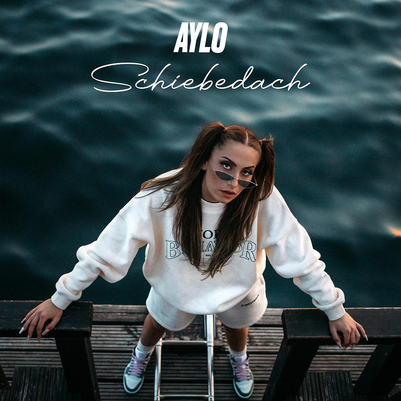 Постер альбома Schiebedach