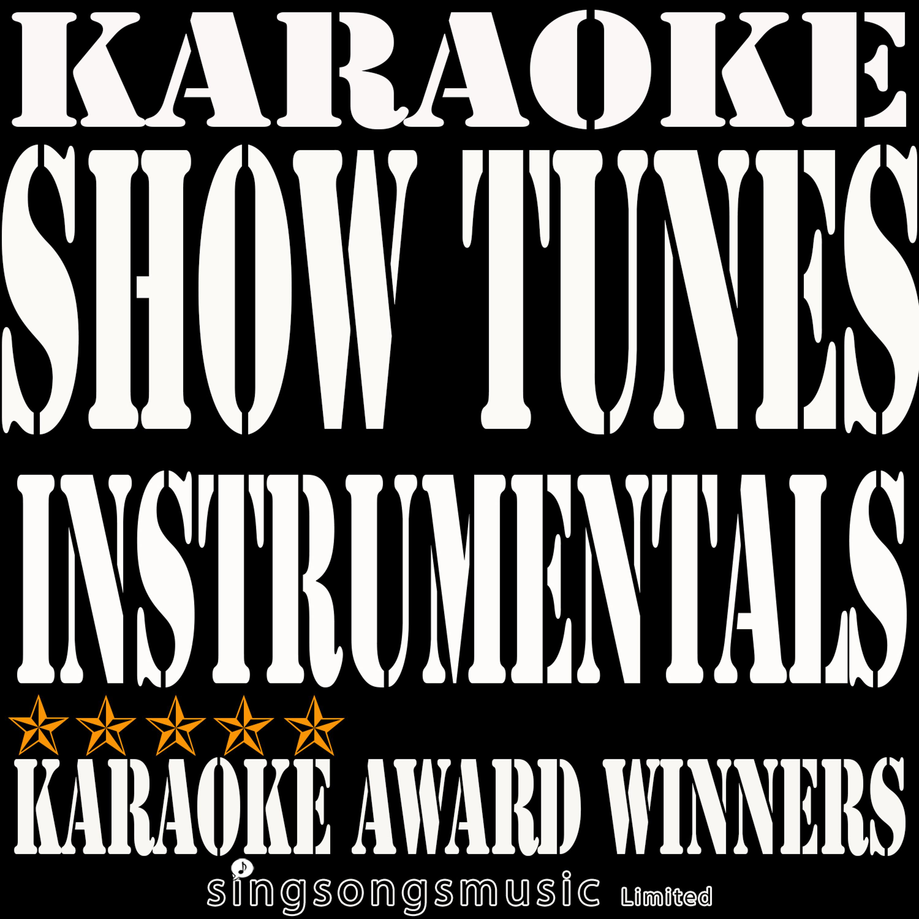 Постер альбома Show Tunes Instrumentals Karaoke, Vol. 5