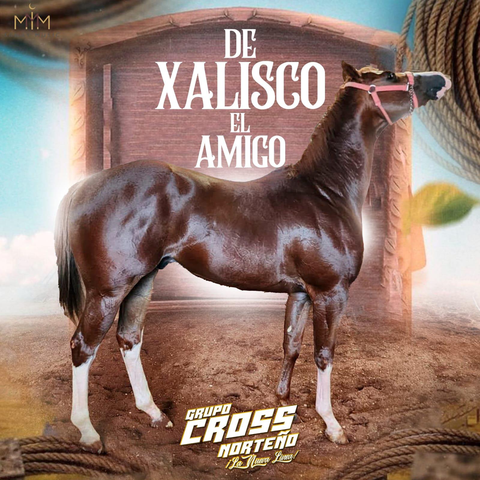 Постер альбома De Xalisco El Amigo