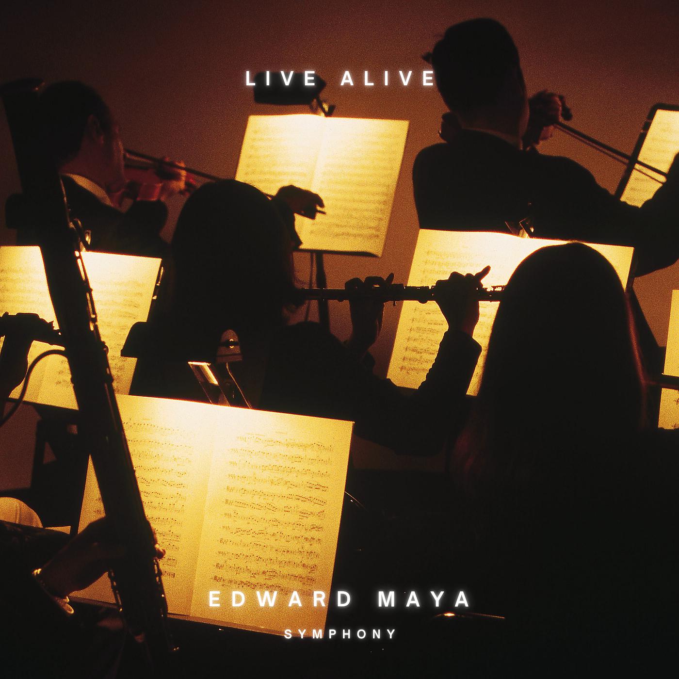 Постер альбома Live Alive (Symphony)