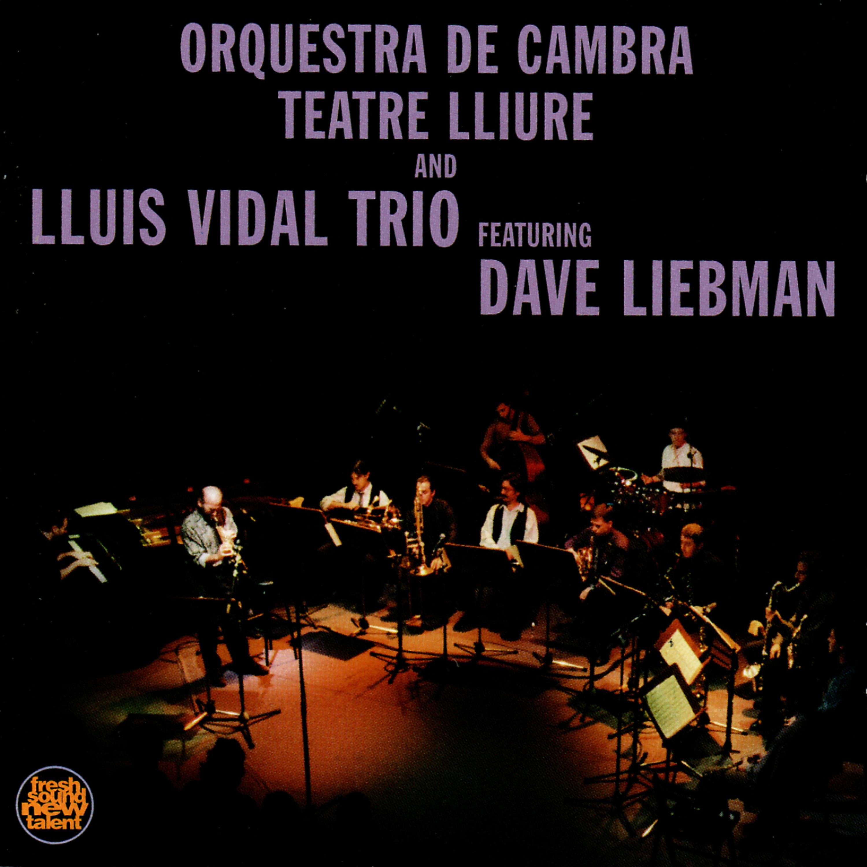 Постер альбома Lluis VidalTrio & Orquestra De Cambra Teatre Lliure