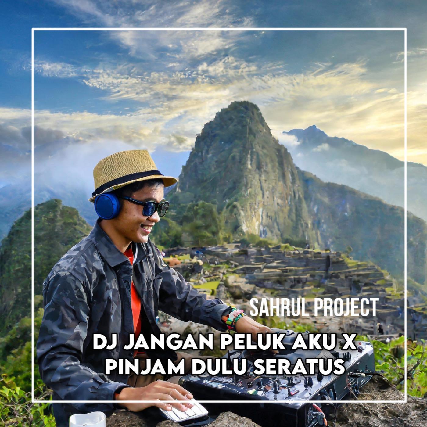 Постер альбома Dj Jangan Peluk Aku X Pinjam Dulu Seratus