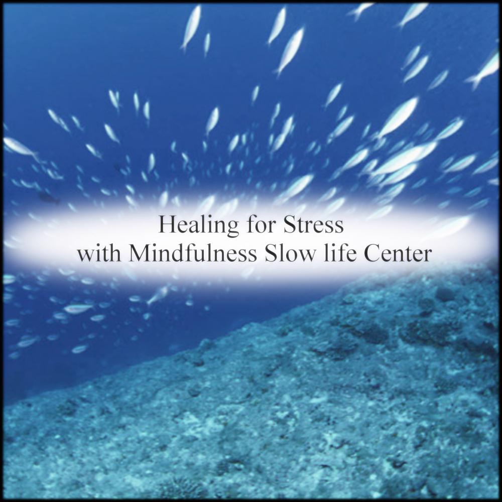 Постер альбома Healing for Stress with Mindfulness Slow life Center