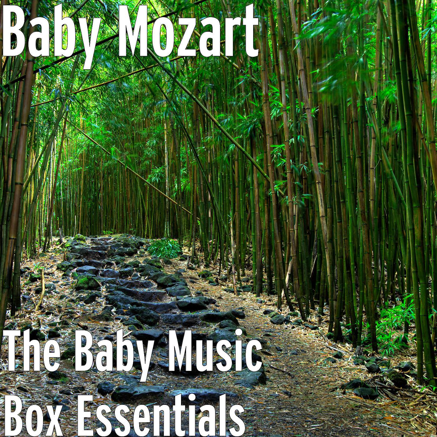Постер альбома The Baby Music Box Essentials