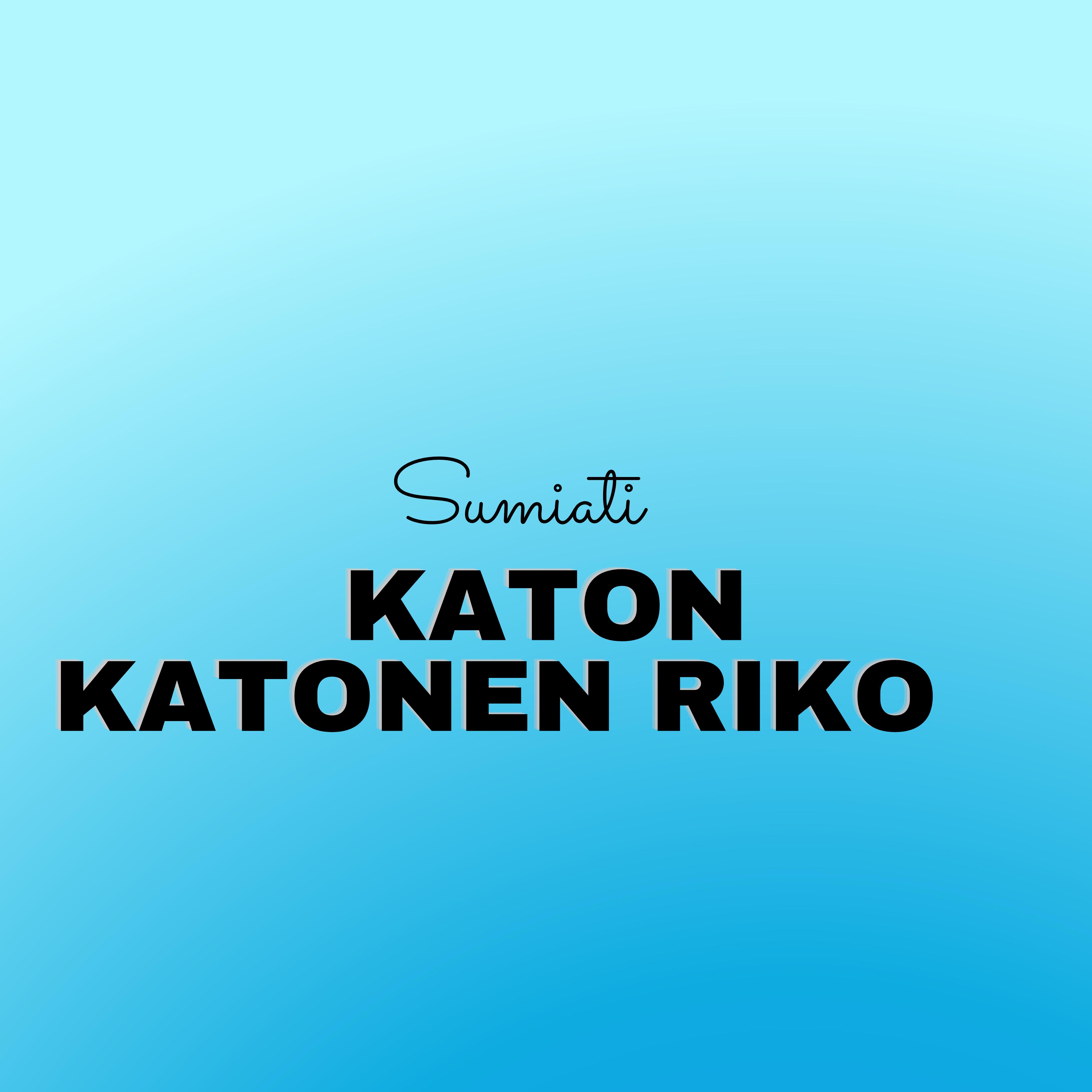 Постер альбома Katon Katonen Riko