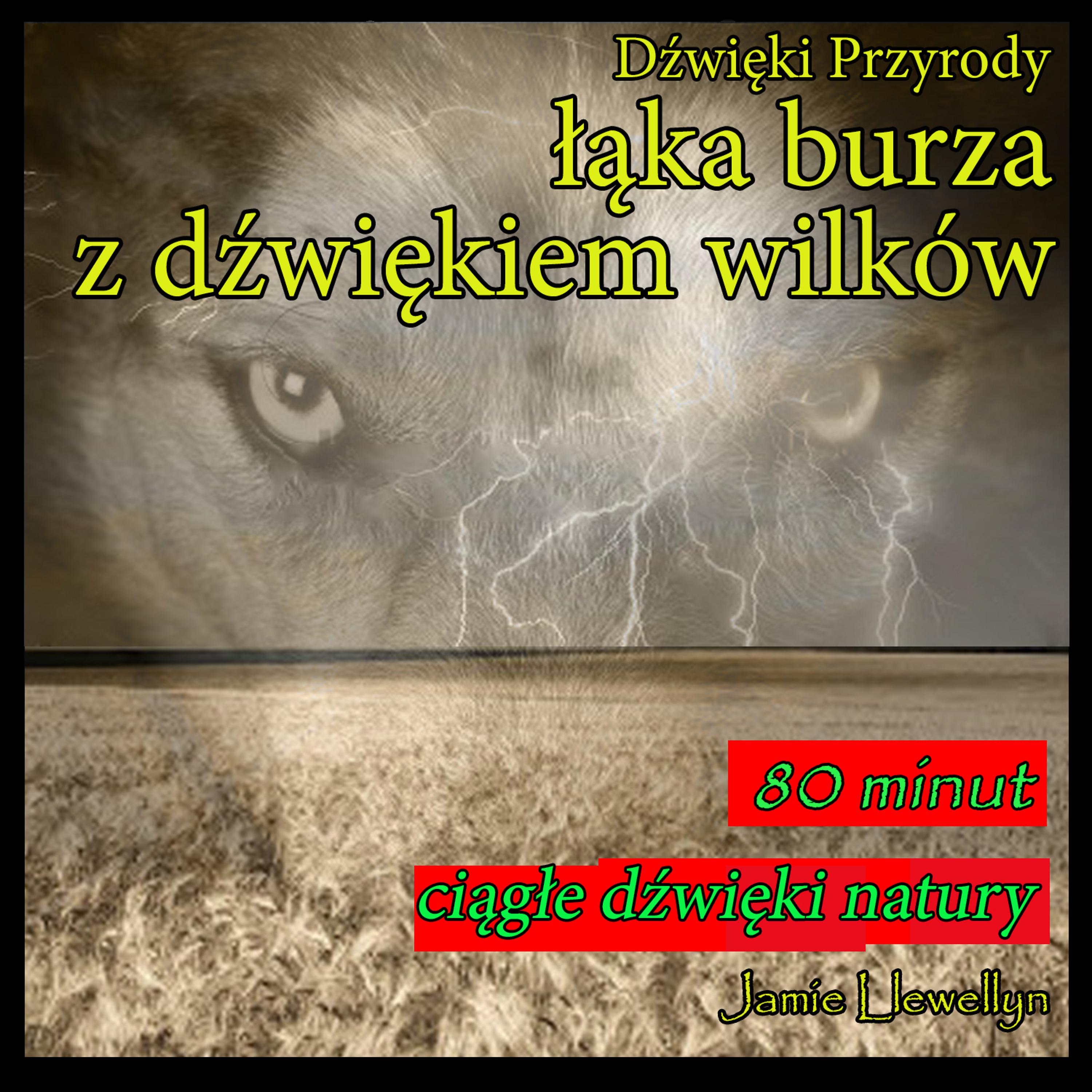 Постер альбома Dźwięki Przyrody: łąka burza z dźwiękiem wilków
