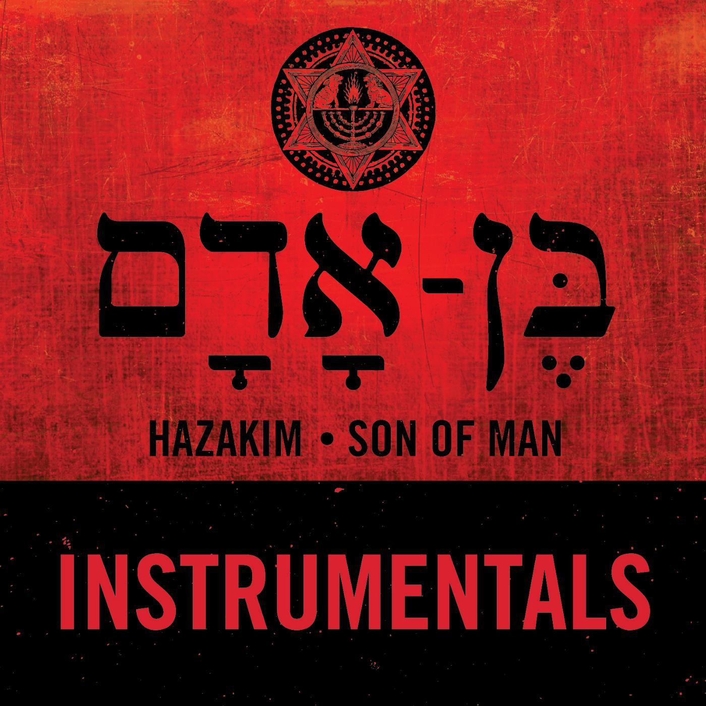 Постер альбома Son of Man: Instrumentals