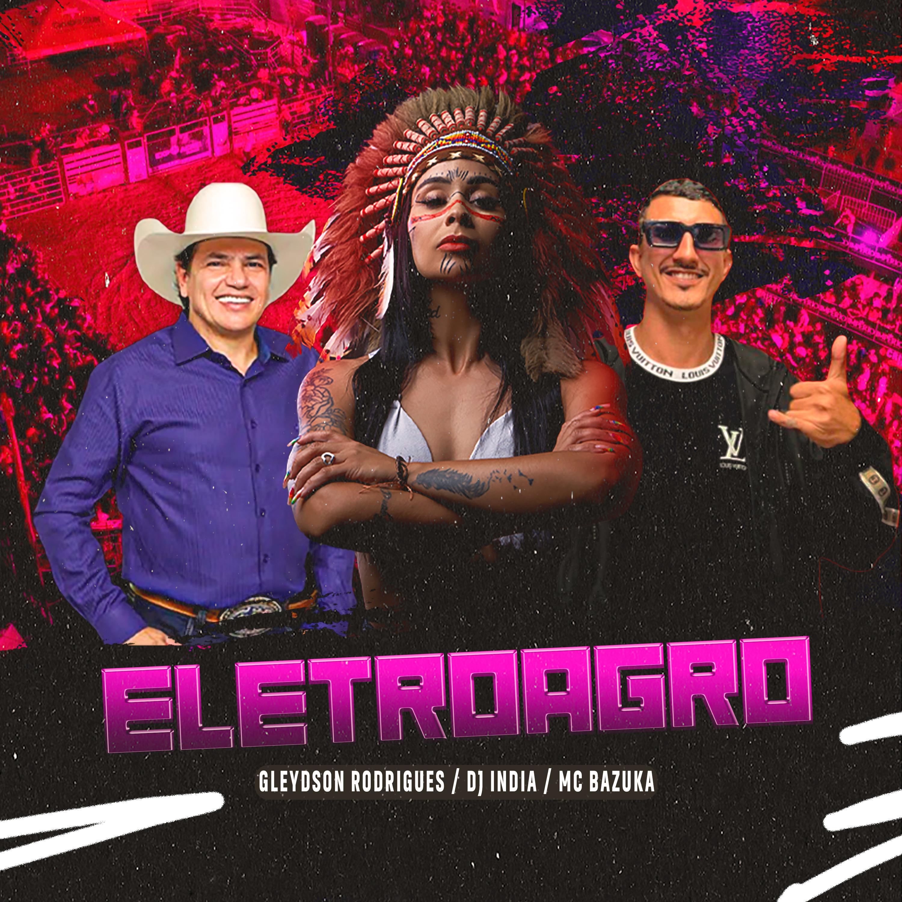 Постер альбома Eletroagro