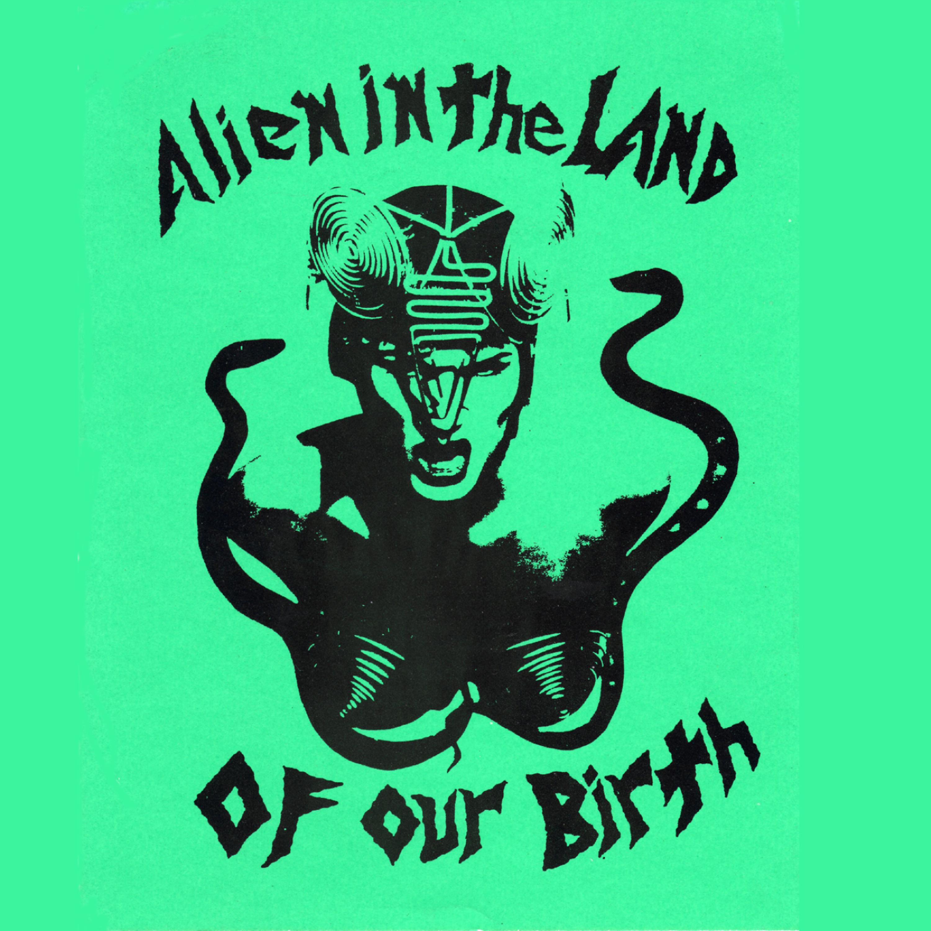 Постер альбома Alien In the Land of Our Birth