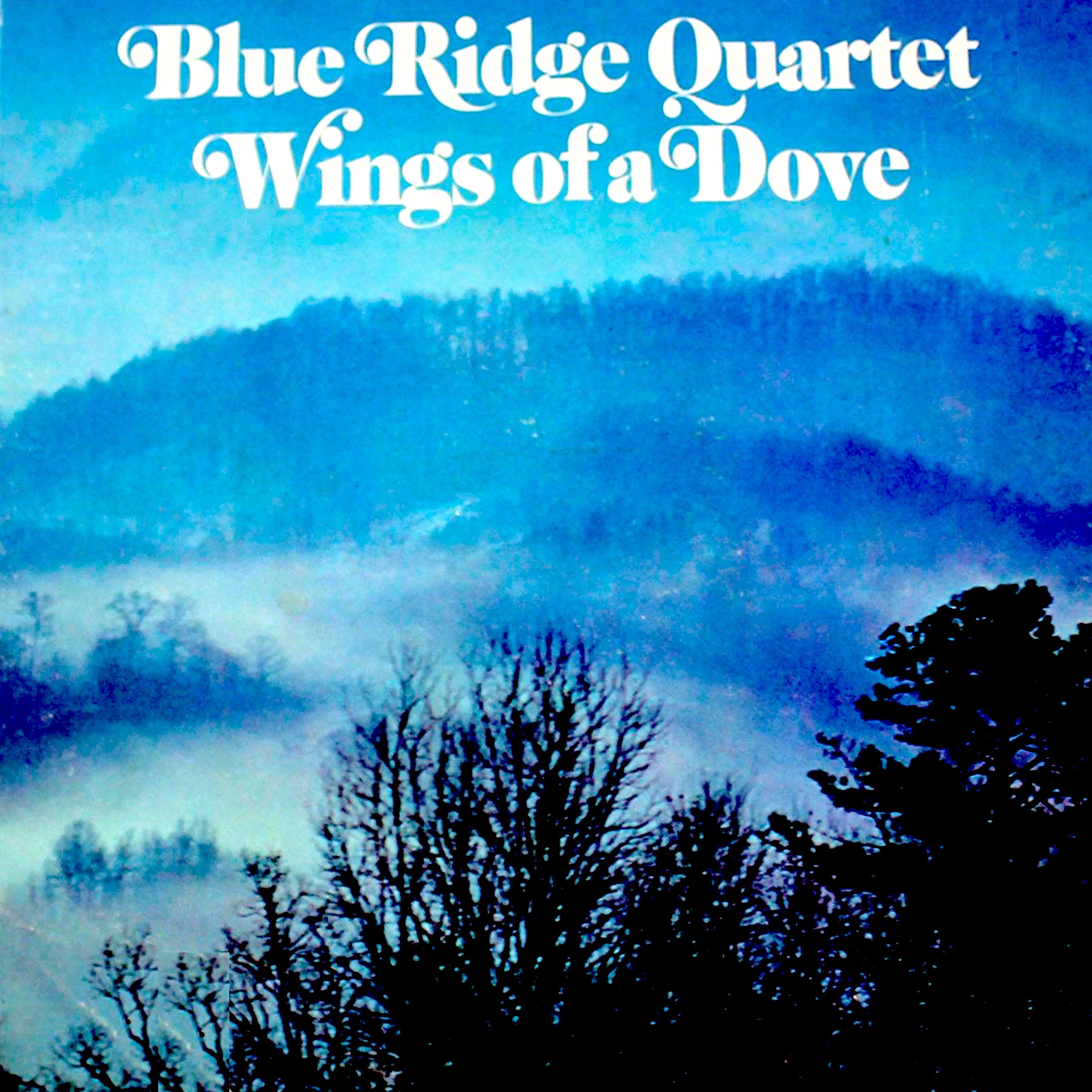 Постер альбома Wings of a Dove