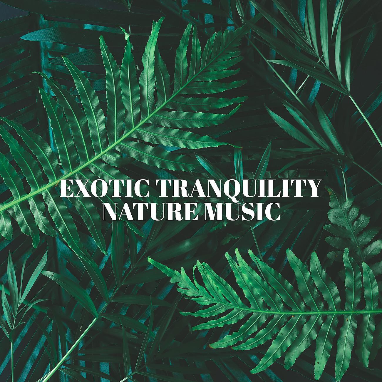 Постер альбома Exotic Tranquility