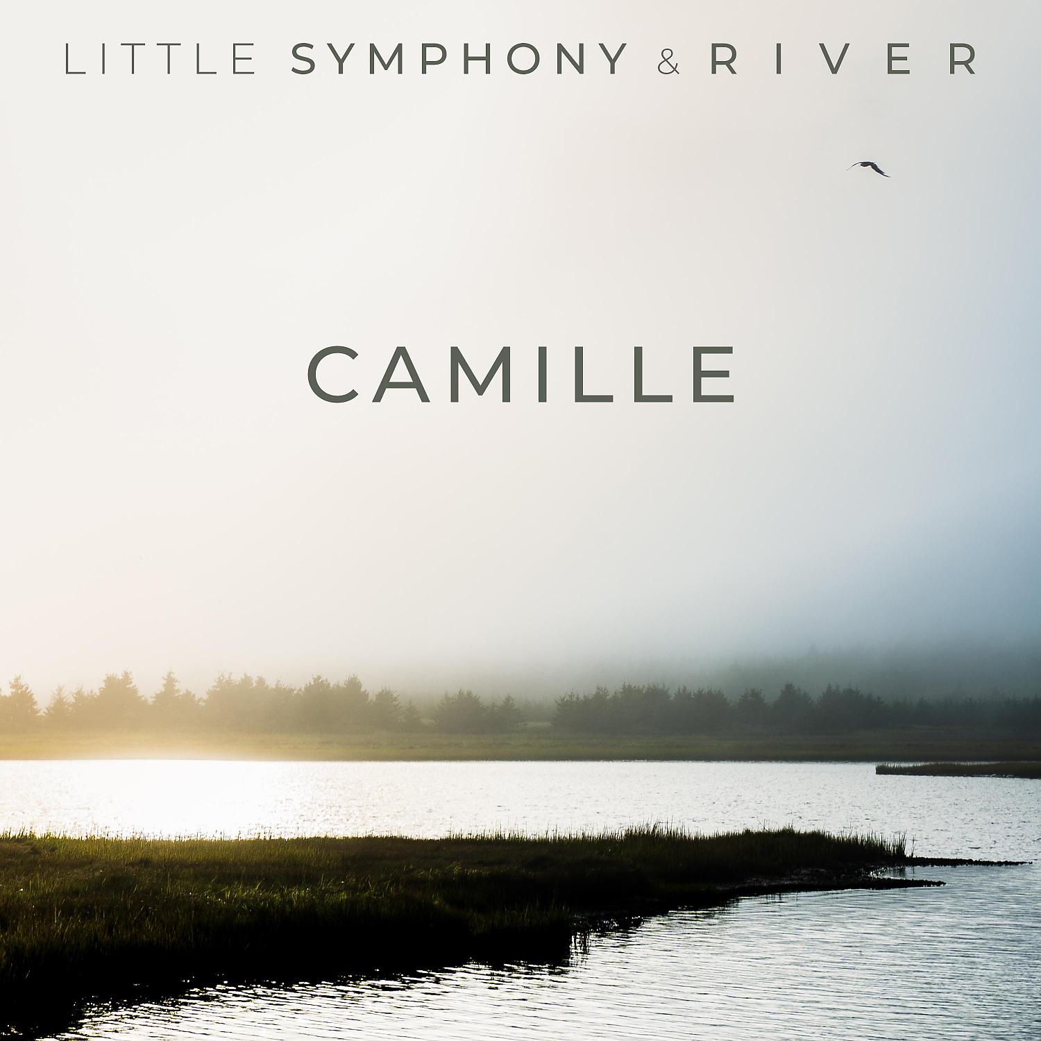 Постер альбома Camille