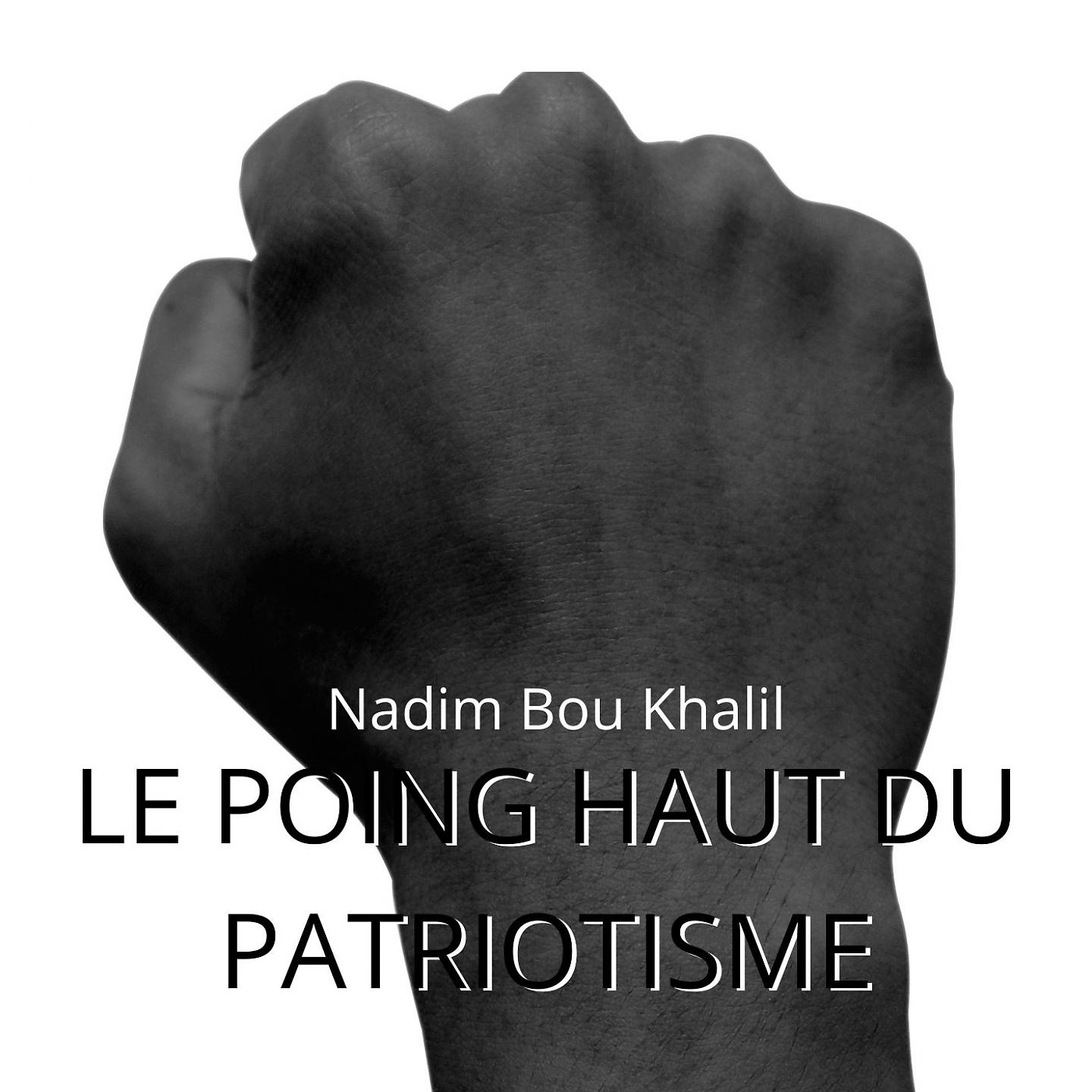 Постер альбома Le poing haut du patriotisme