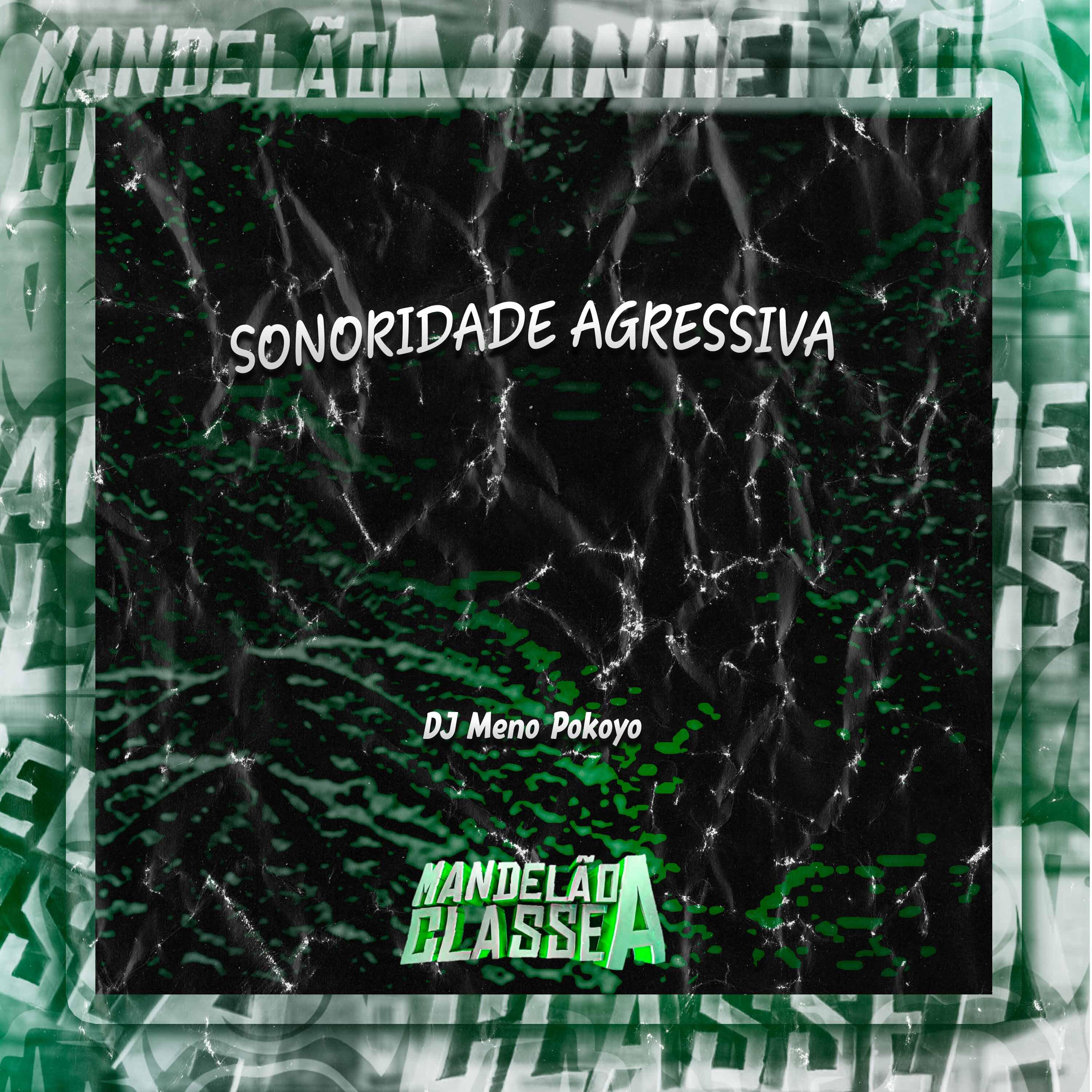 Постер альбома Sonoridade Agressiva